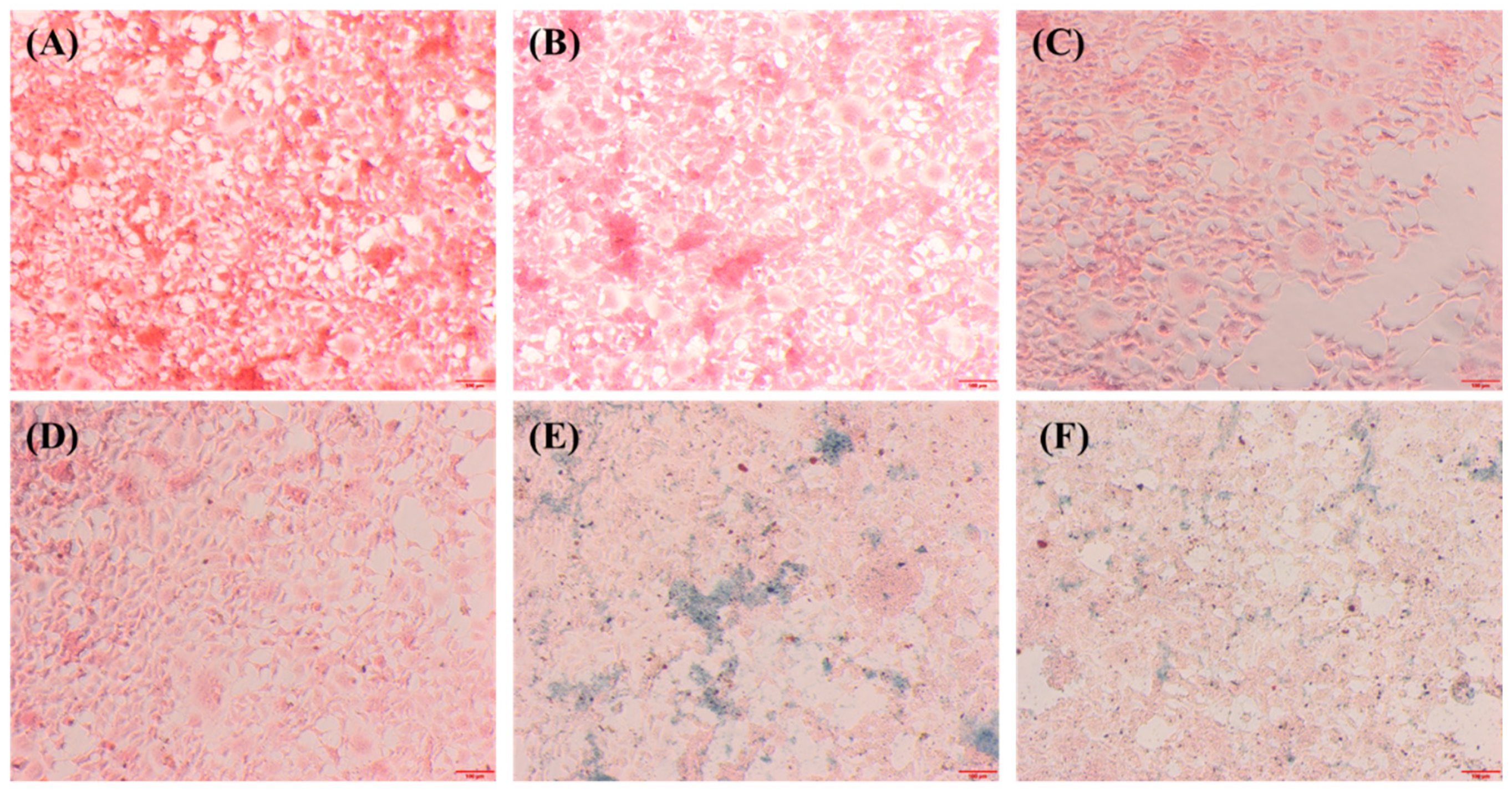 Antibiotics 10 00524 g012 Antibiotics 10 00524 g012