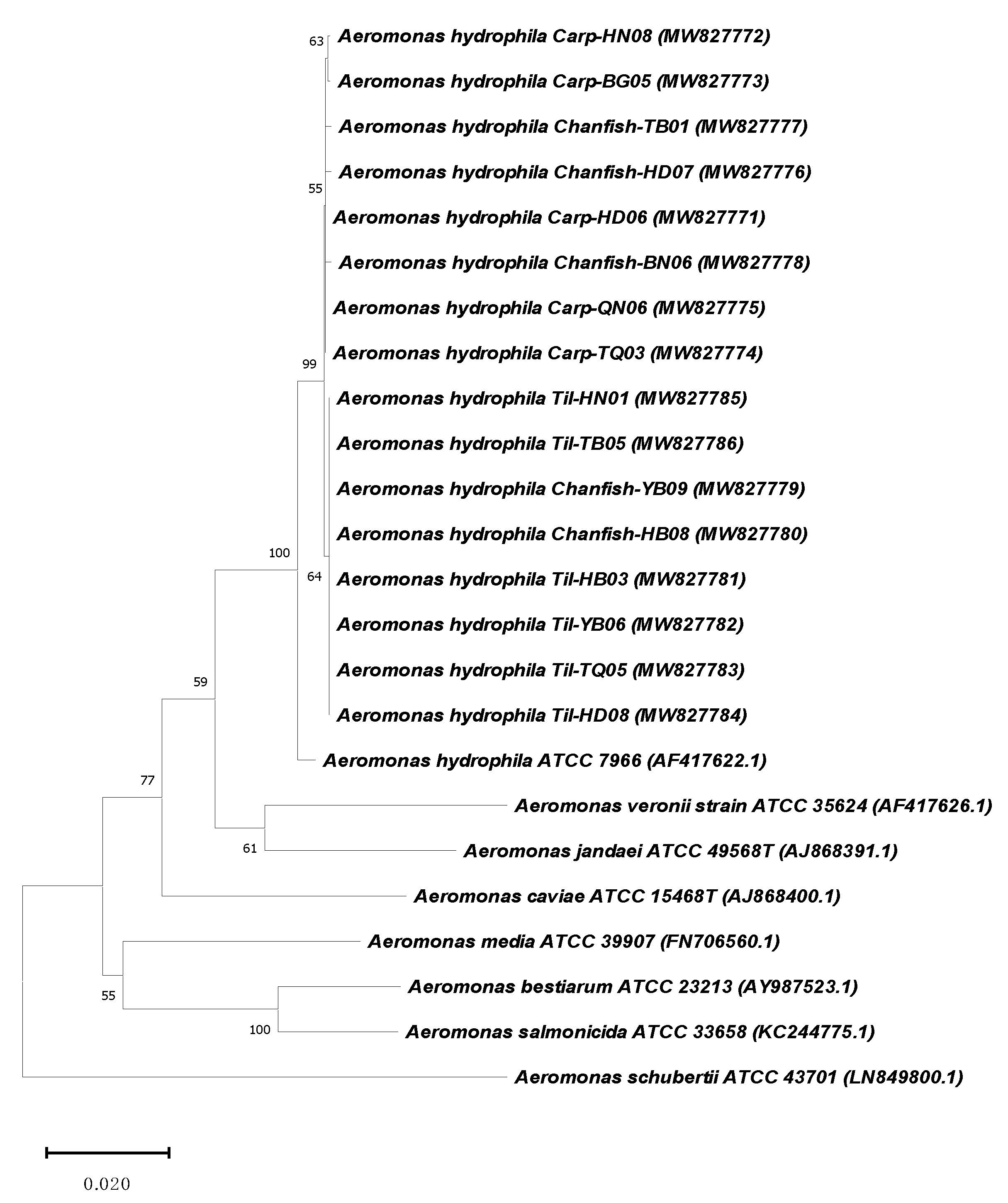 Antibiotics 10 00532 g003 Antibiotics 10 00532 g003