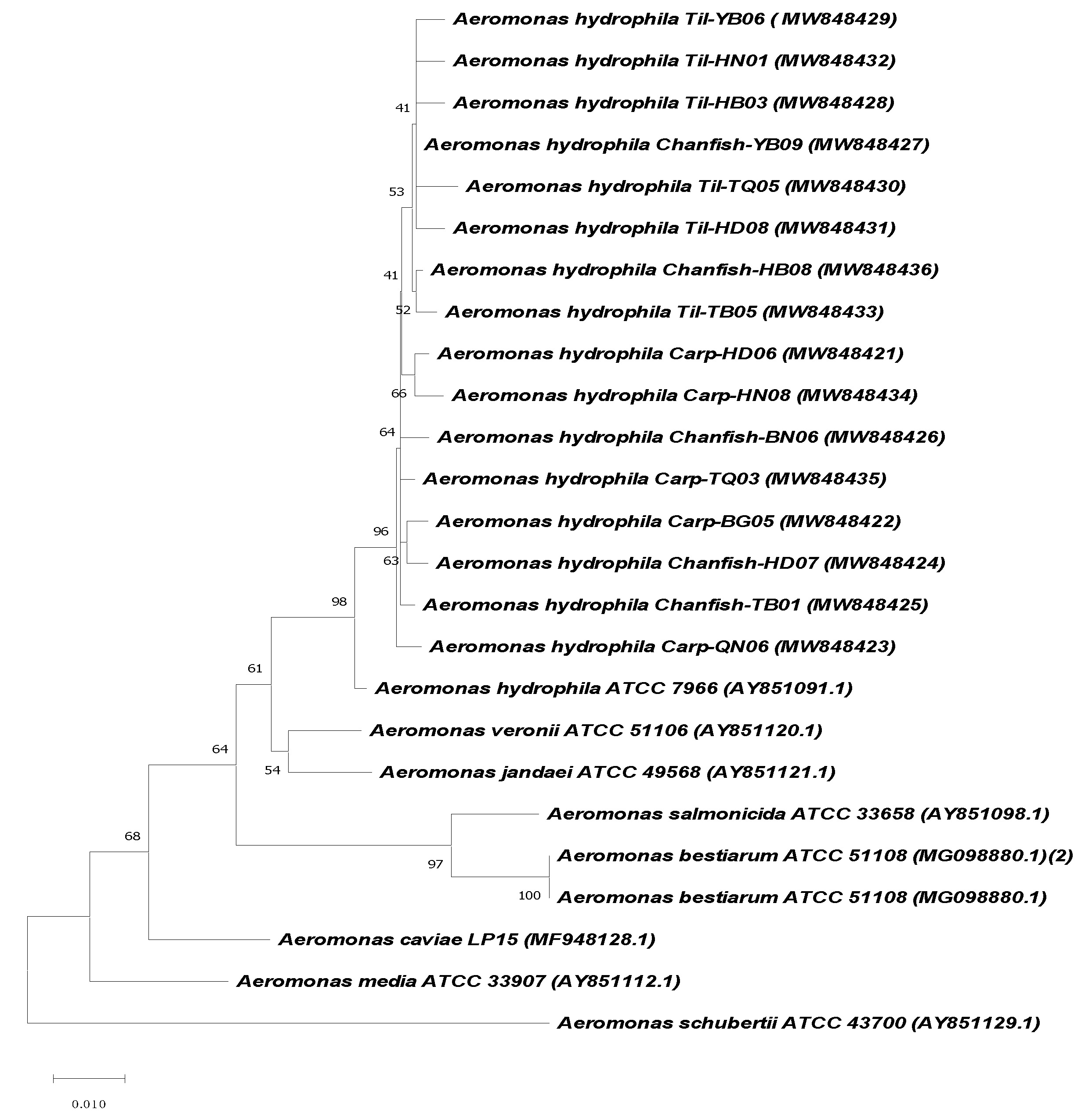 Antibiotics 10 00532 g004 Antibiotics 10 00532 g004