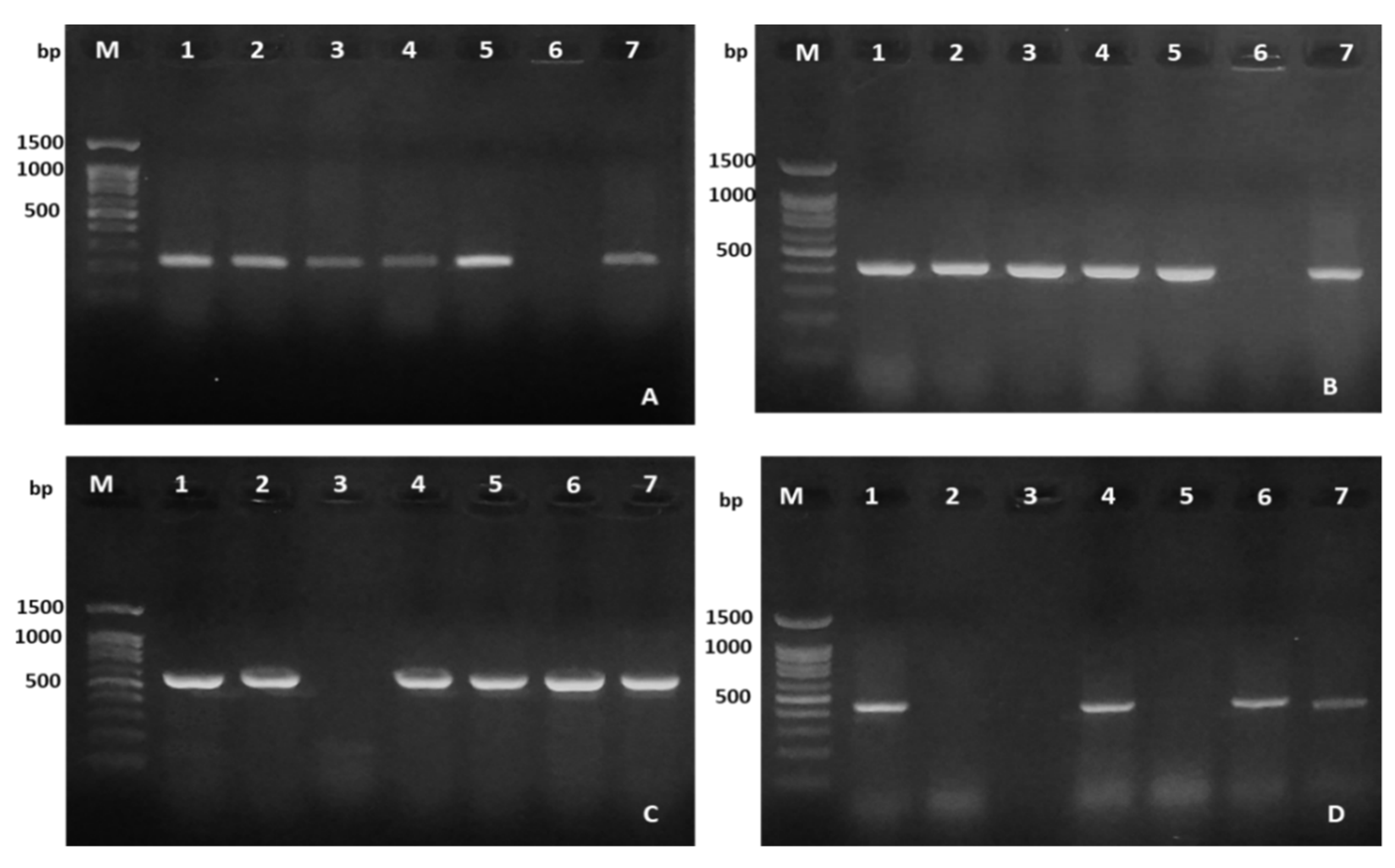 Antibiotics 10 00532 g006 Antibiotics 10 00532 g006