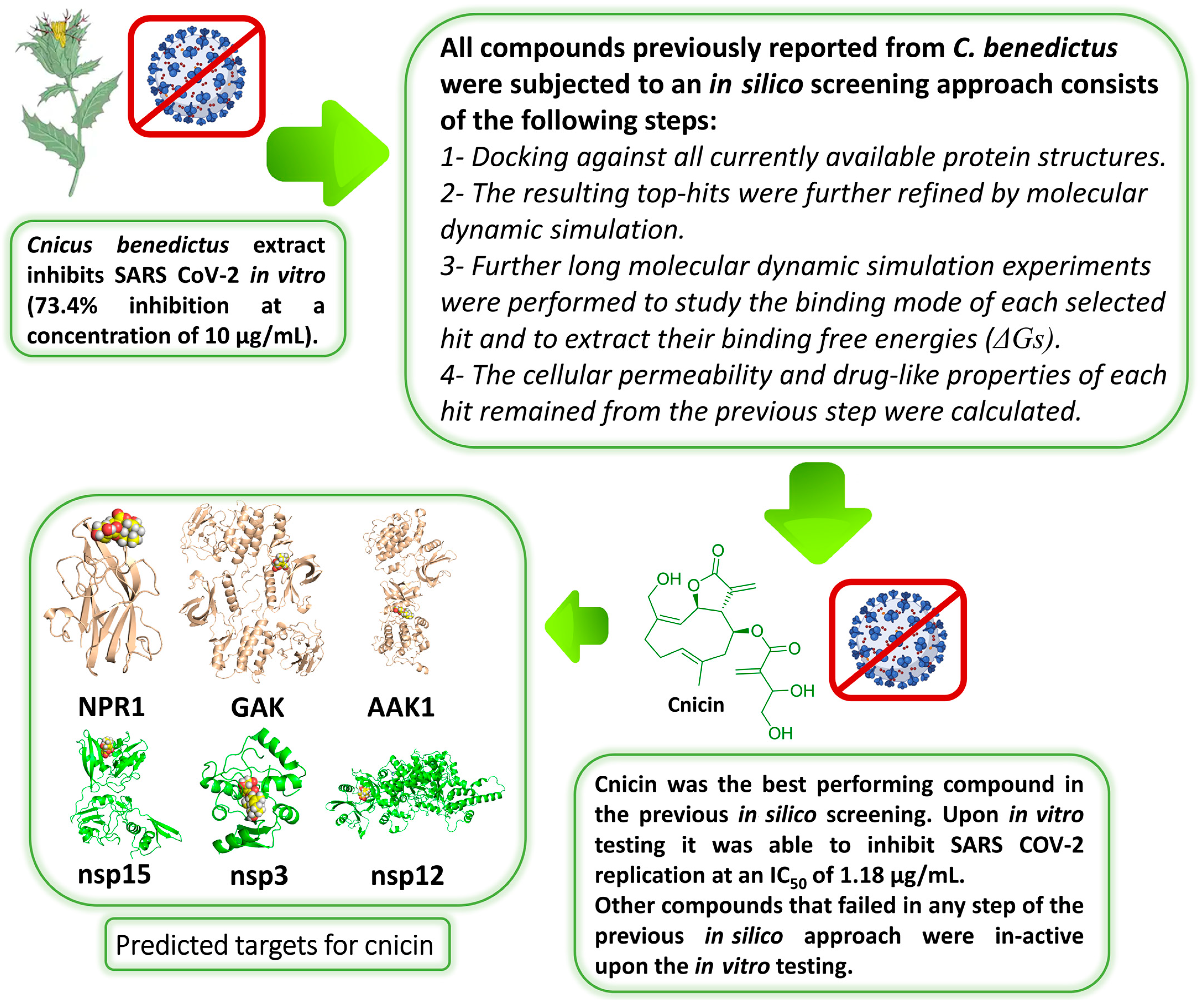 Antibiotics 10 00542 g002