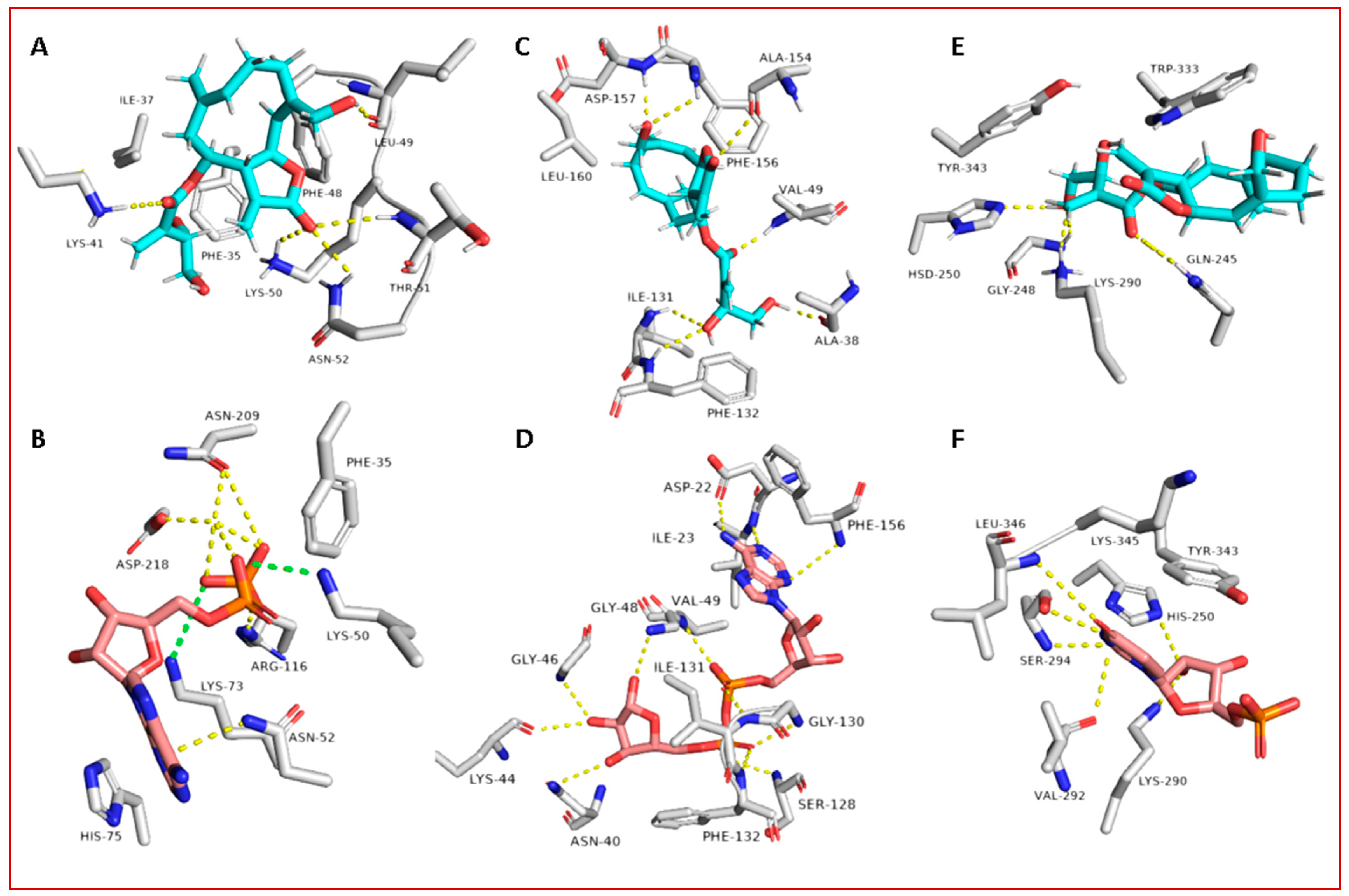 Antibiotics 10 00542 g008