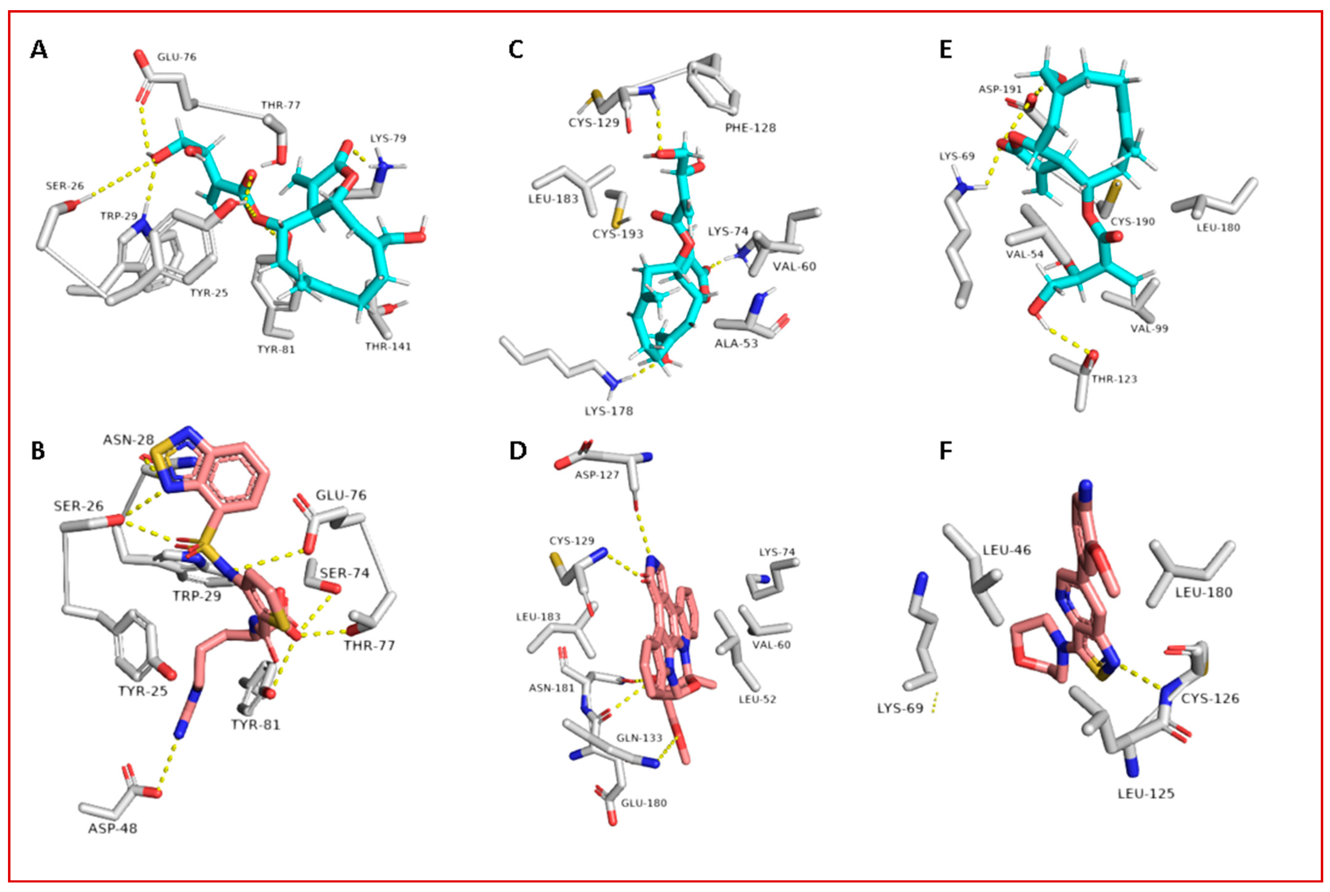 Antibiotics 10 00542 g011