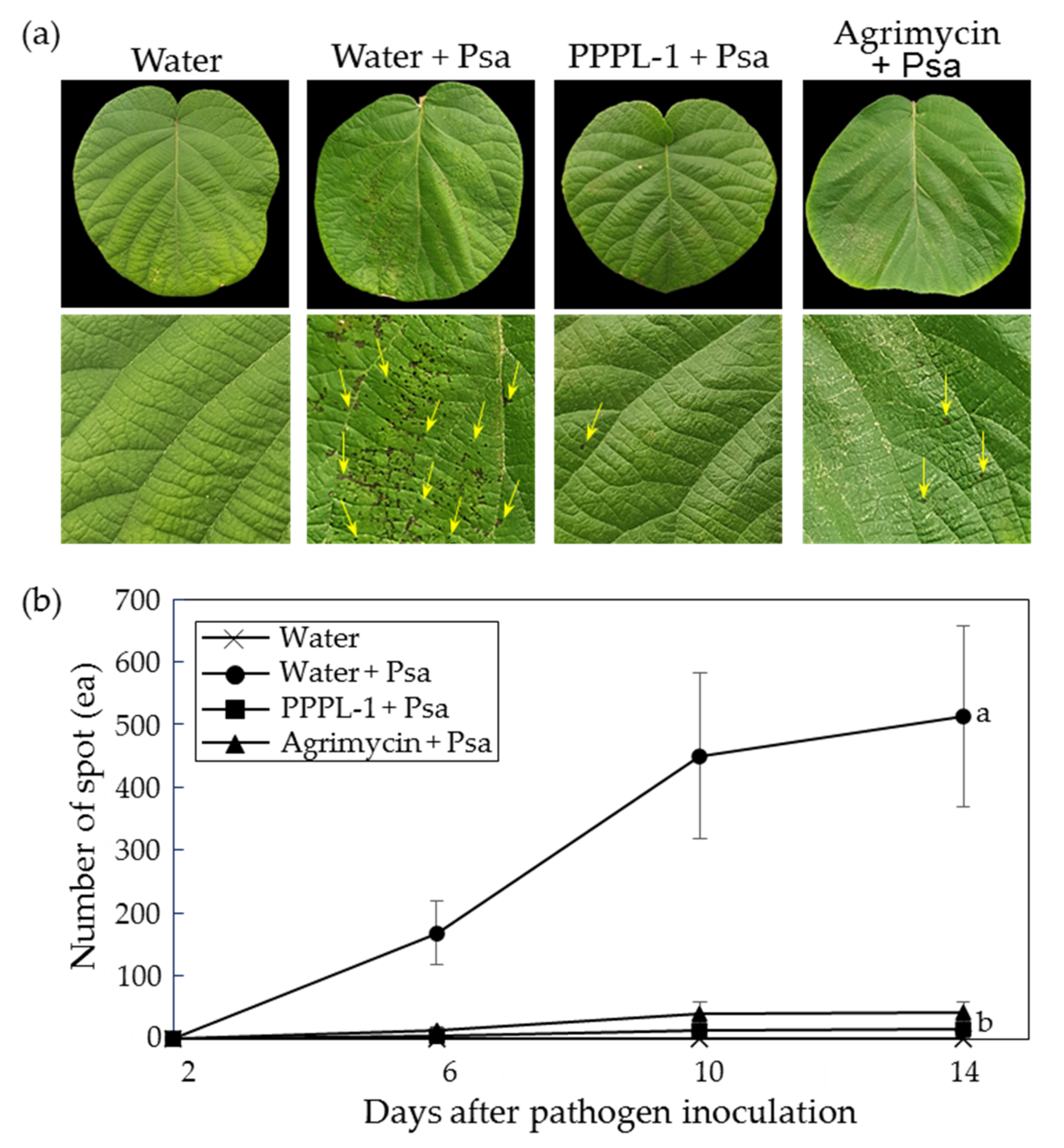 Antibiotics 10 00554 g001 Antibiotics 10 00554 g001