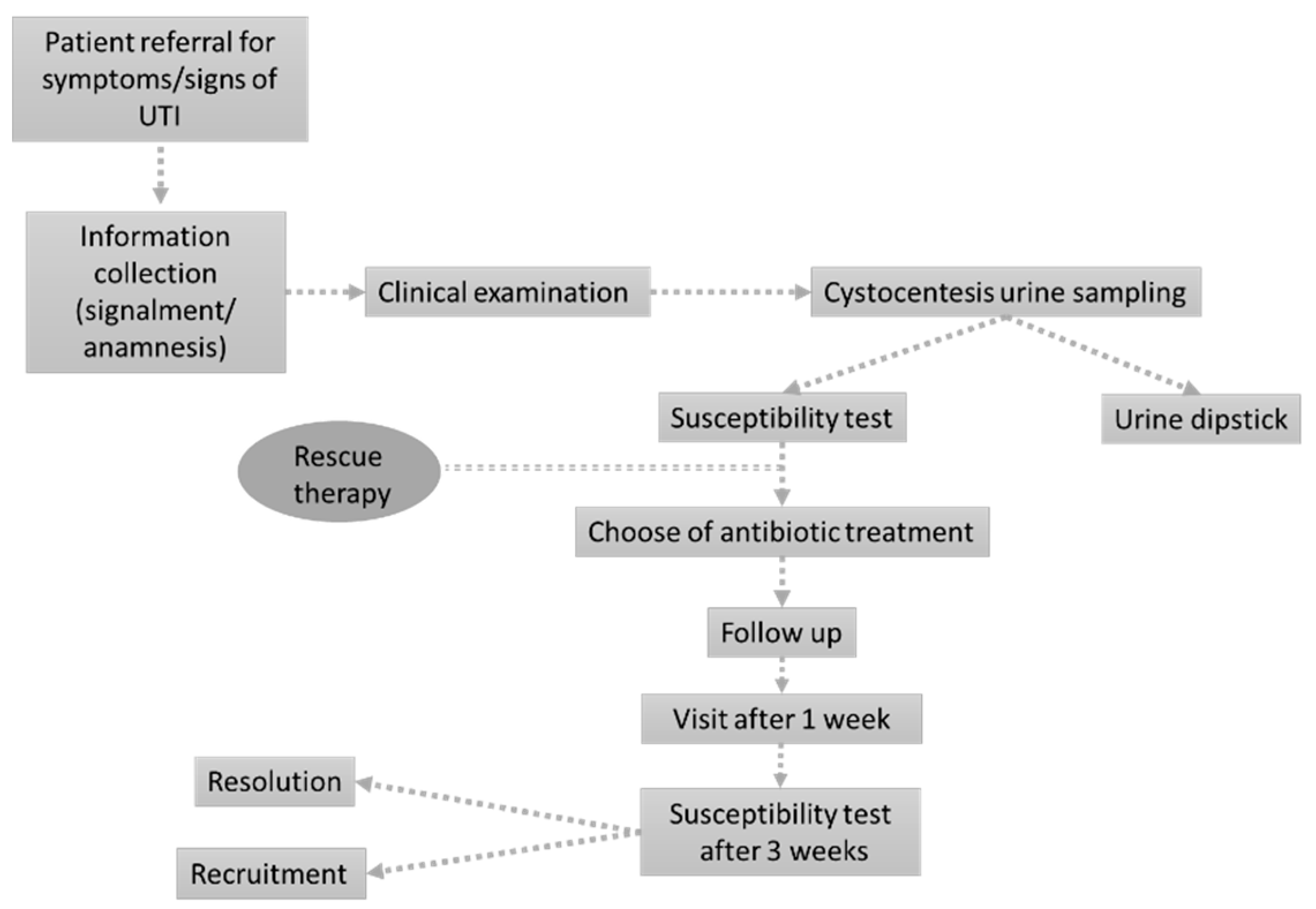 Antibiotics 10 00562 g004