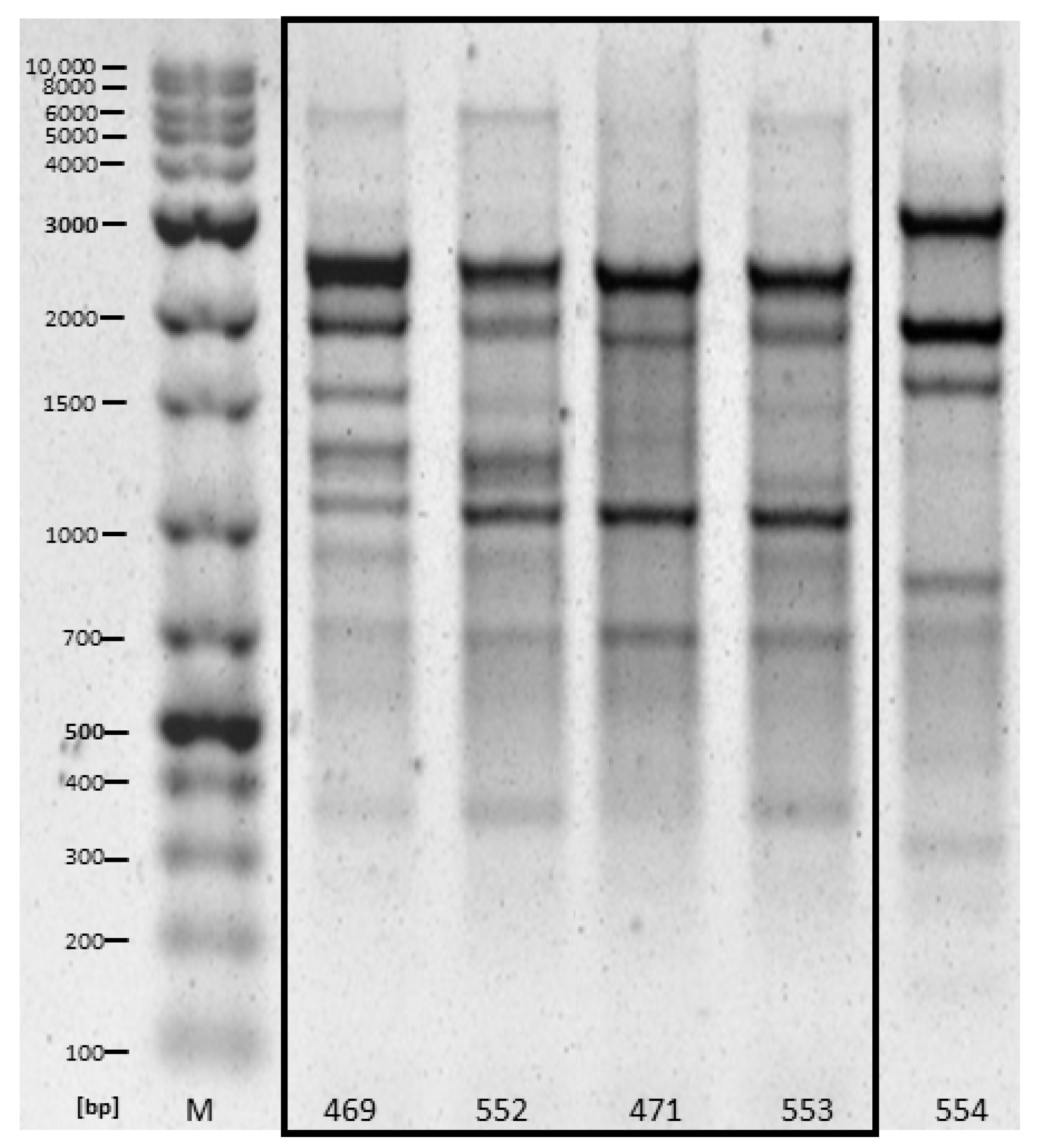 Antibiotics 10 00568 g001 Antibiotics 10 00568 g001