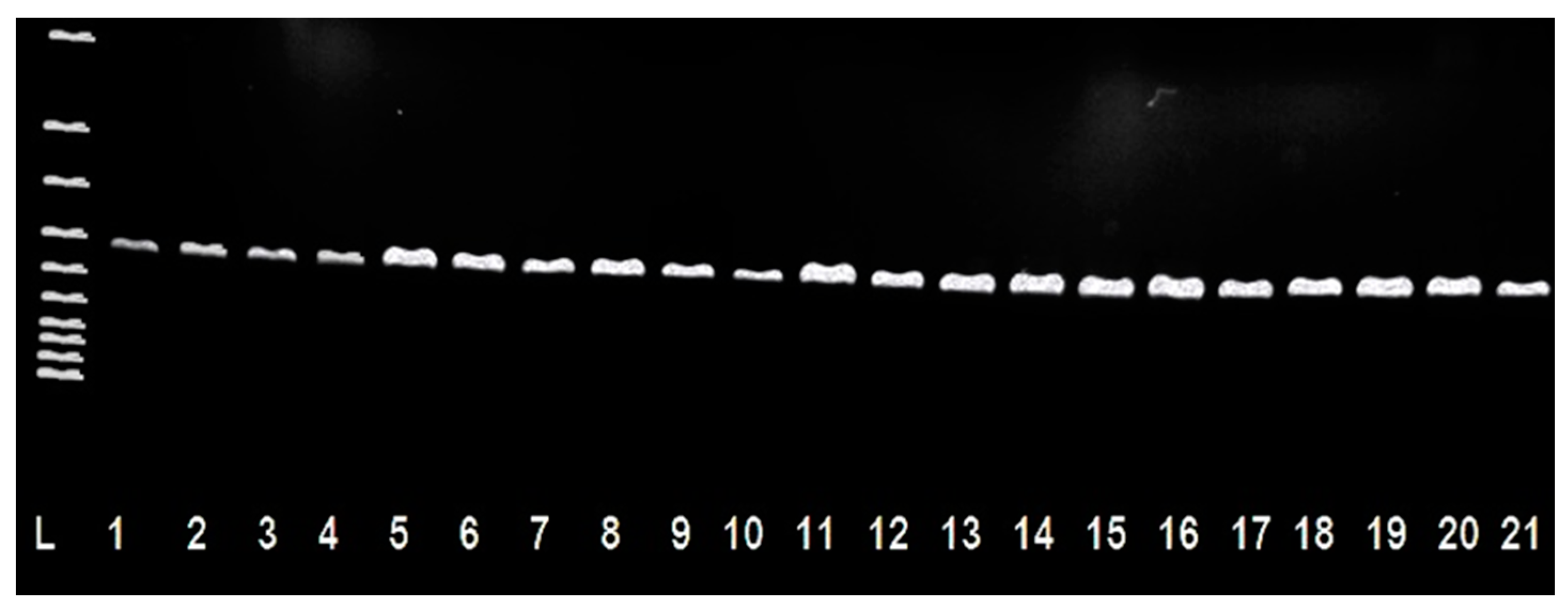Antibiotics 10 00570 g001