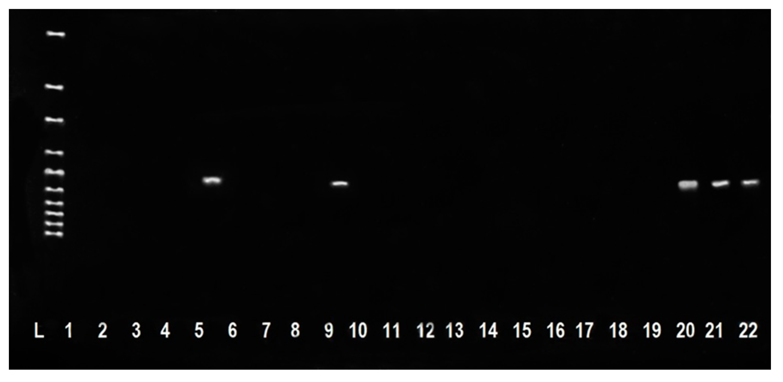 Antibiotics 10 00570 g002