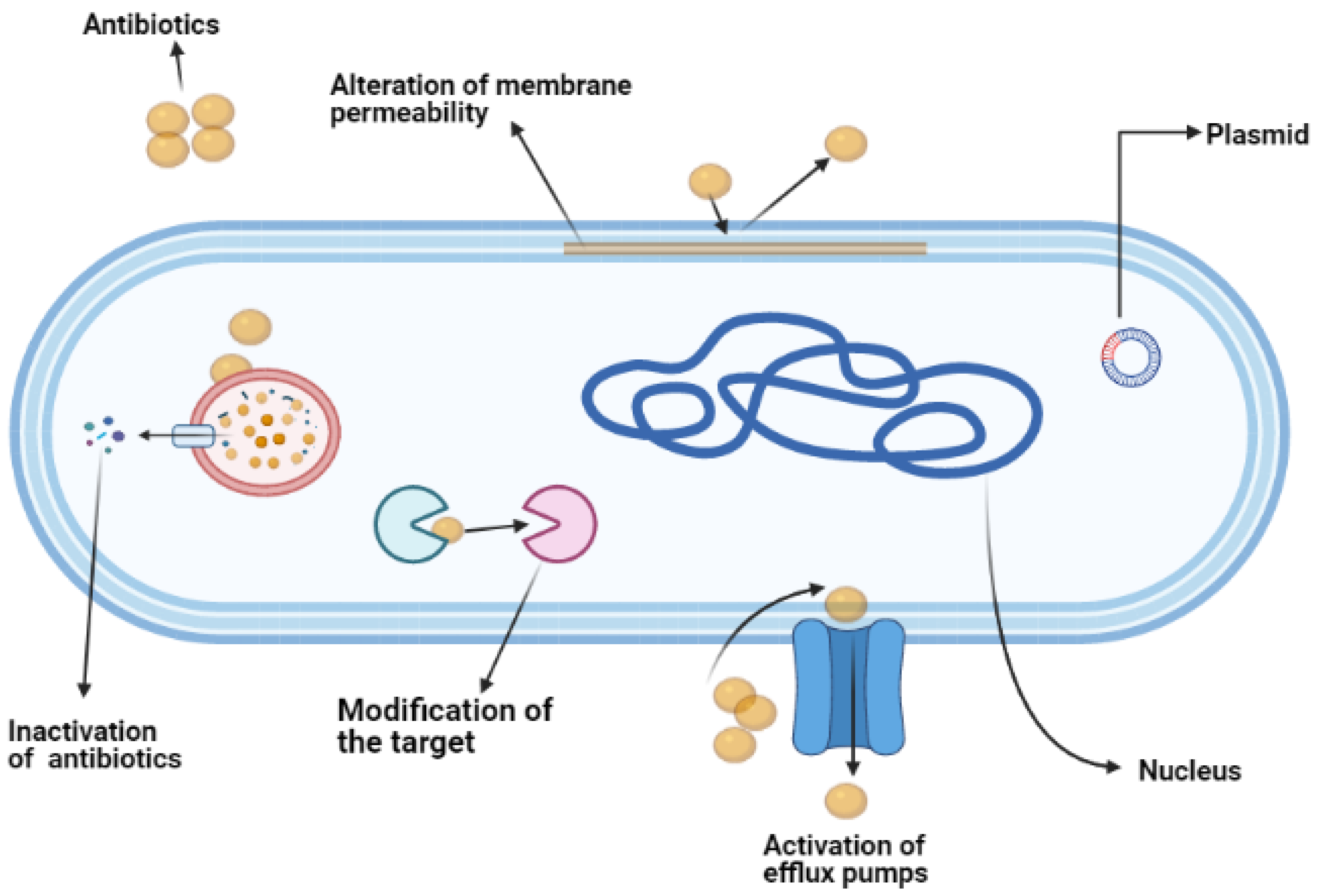 Antibiotics 10 00579 g003 Antibiotics 10 00579 g003