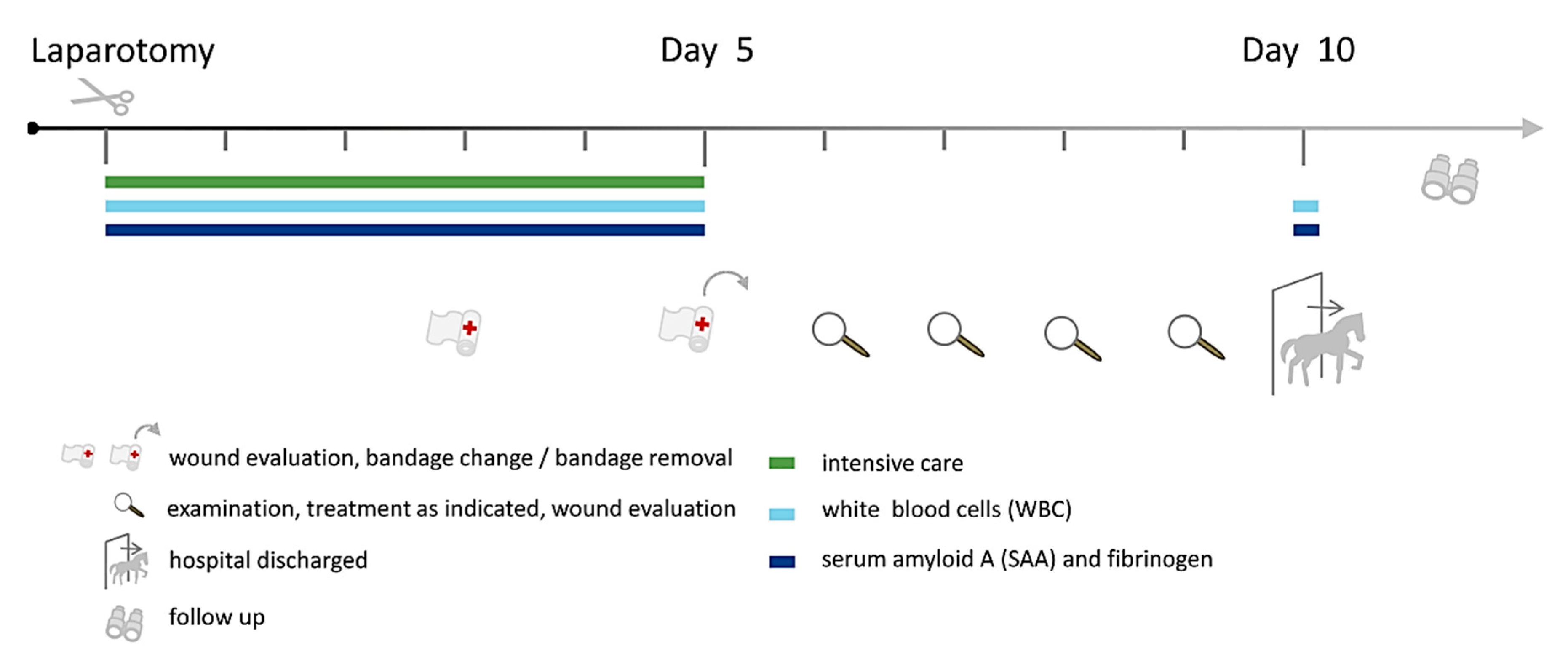 Antibiotics 10 00587 g001