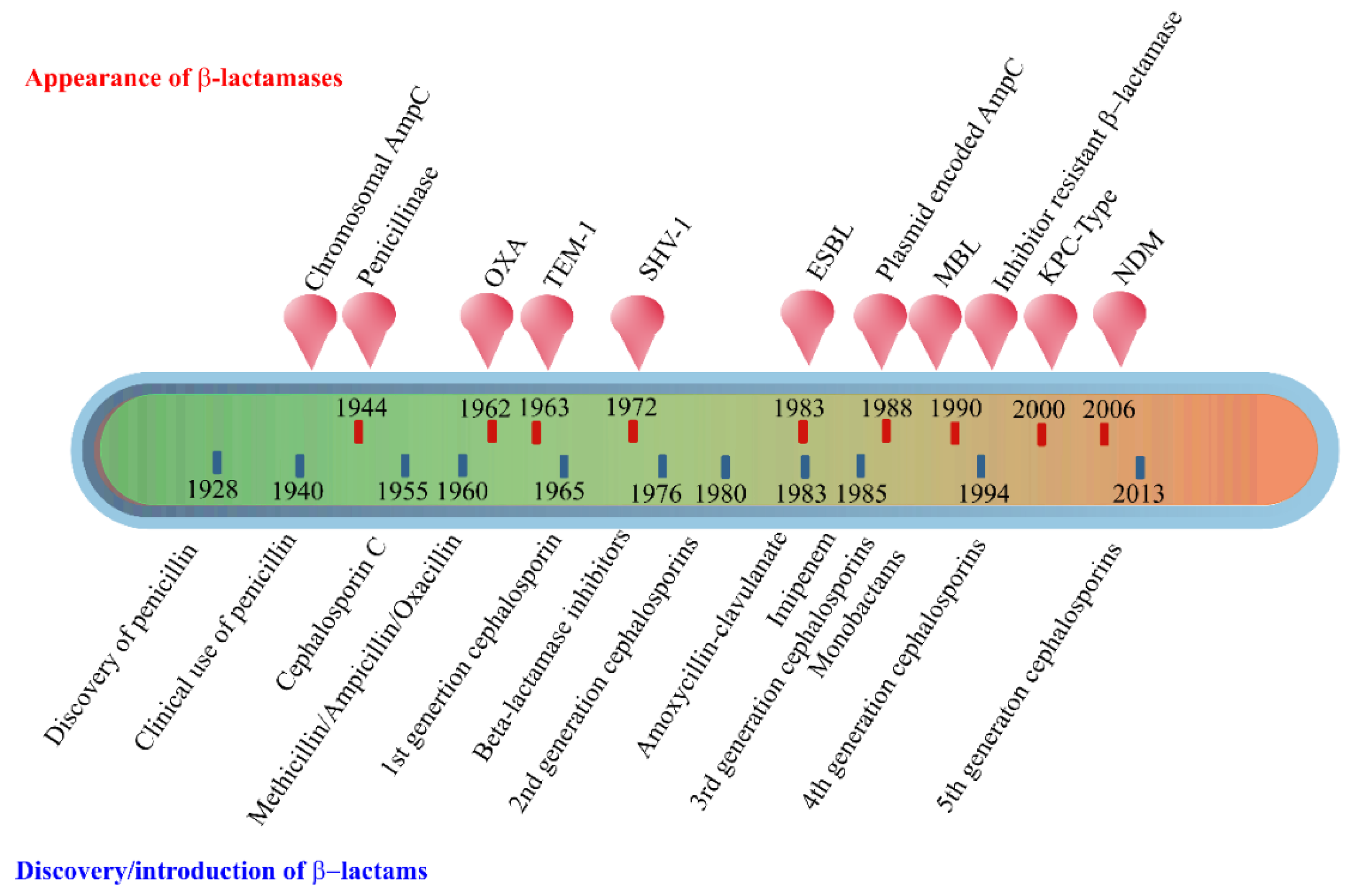 Antibiotics 10 00593 g002