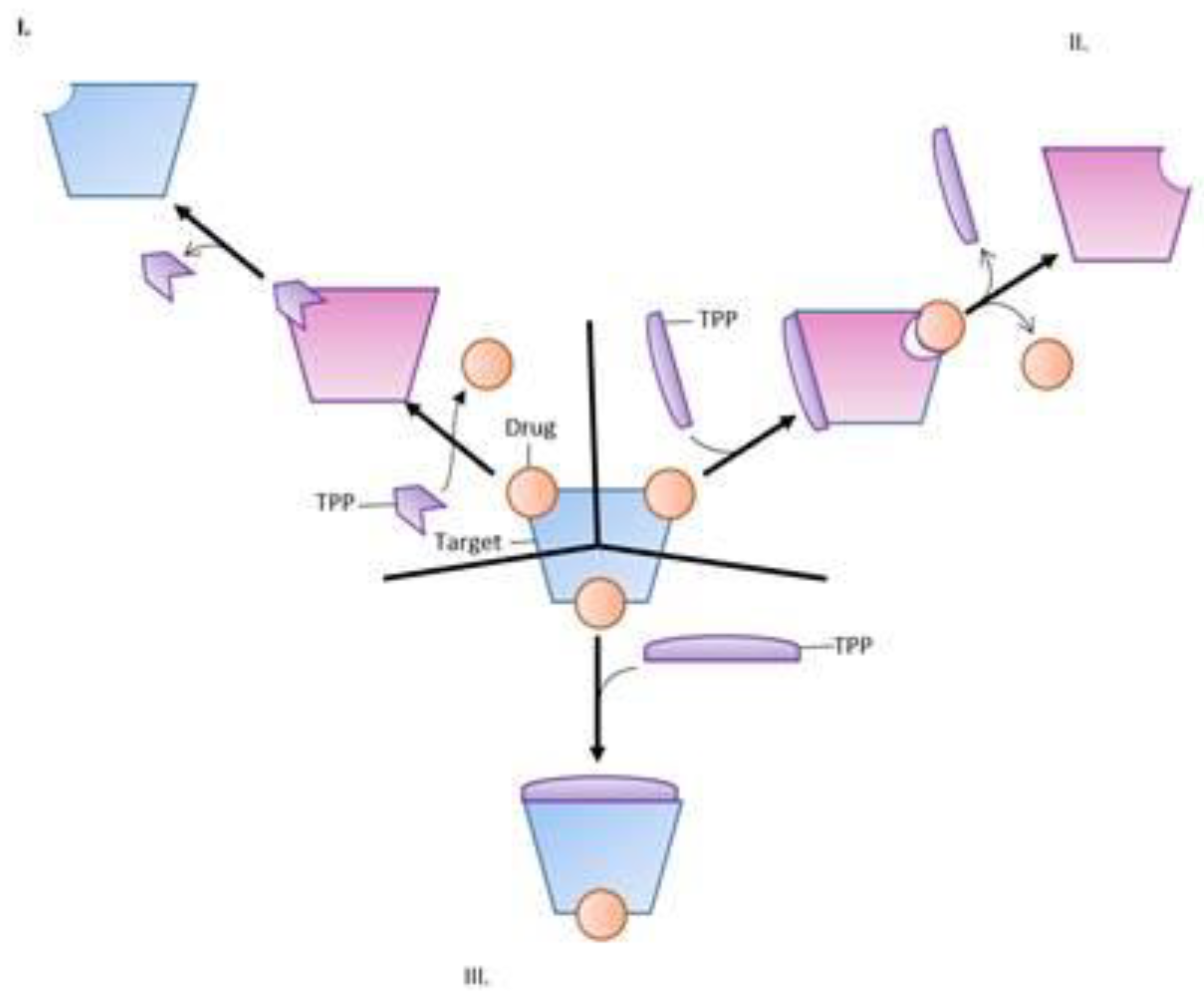 Antibiotics 10 00593 g004