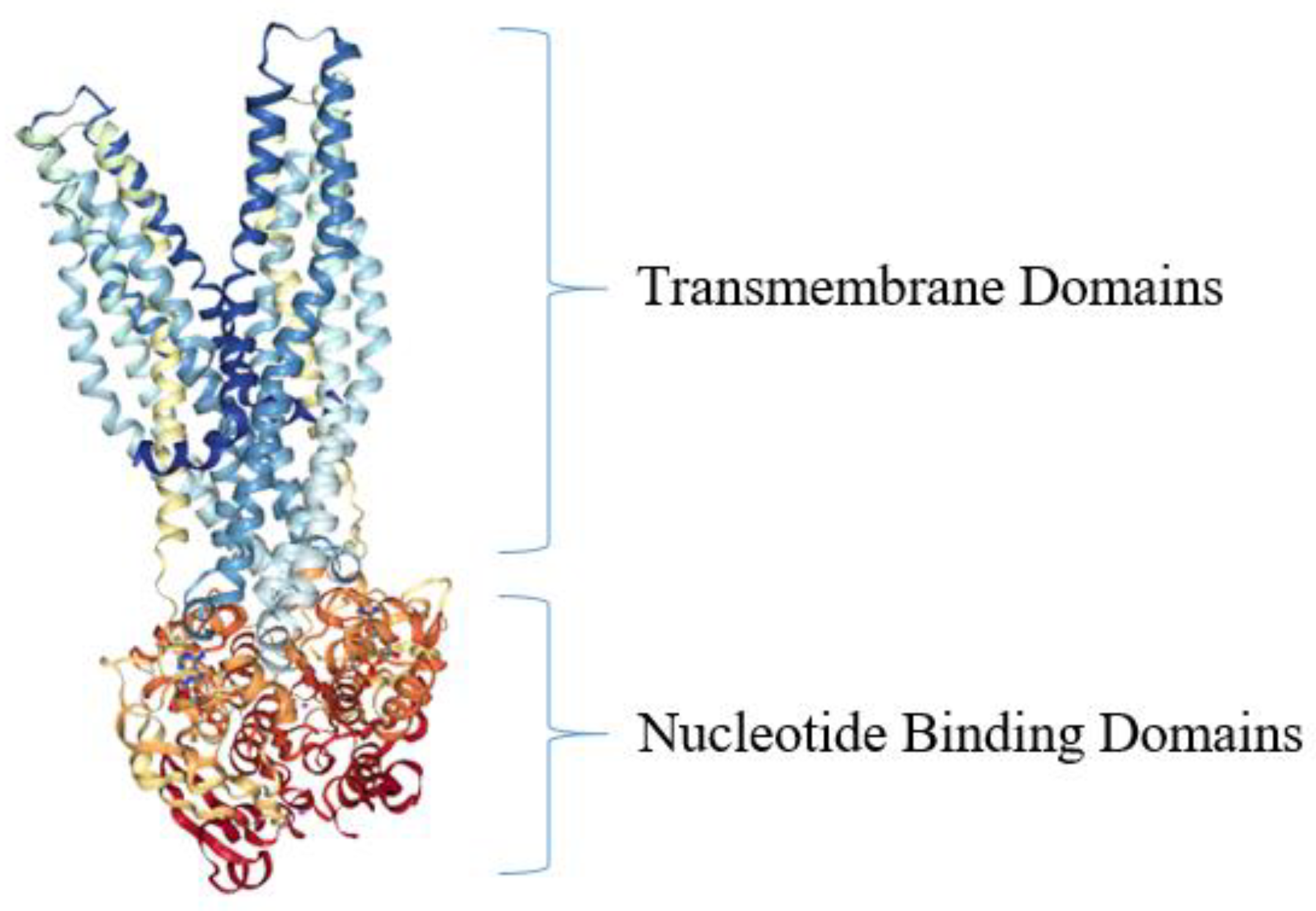 Antibiotics 10 00593 g005