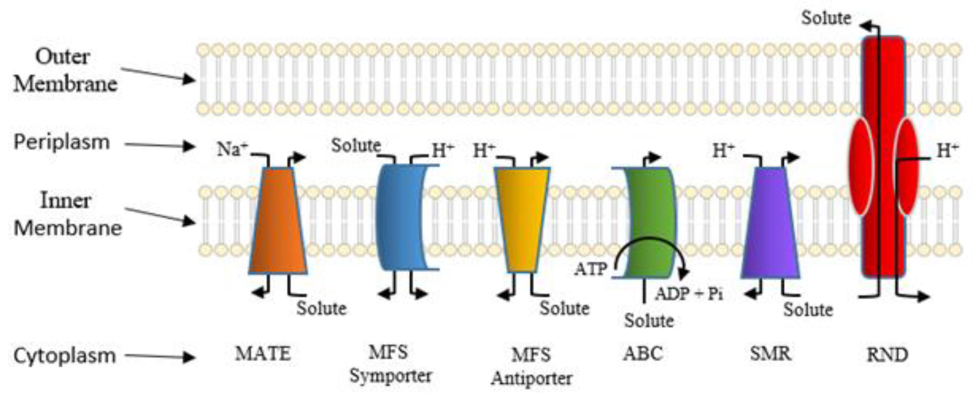 Antibiotics 10 00593 g006
