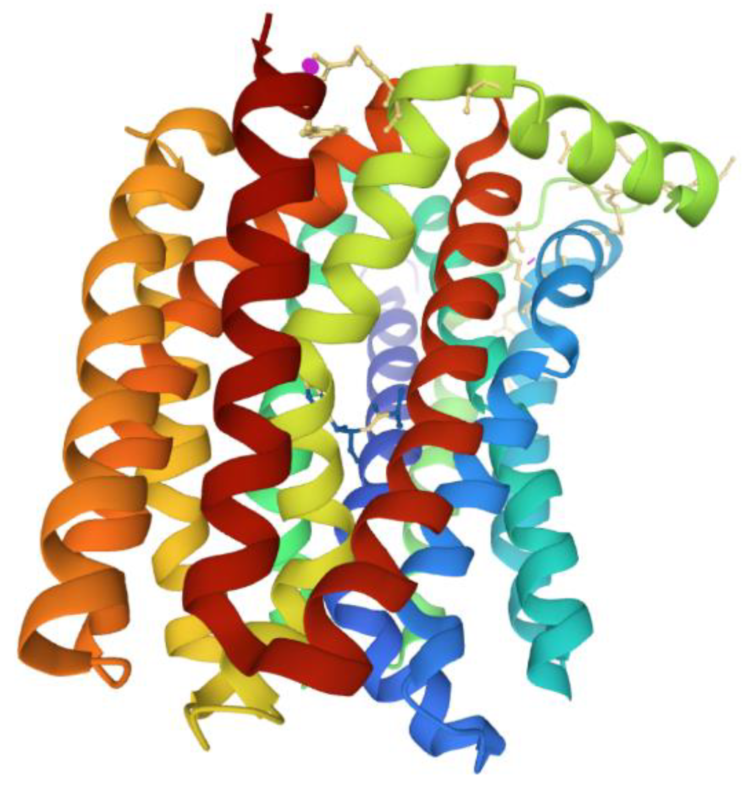 Antibiotics 10 00593 g007