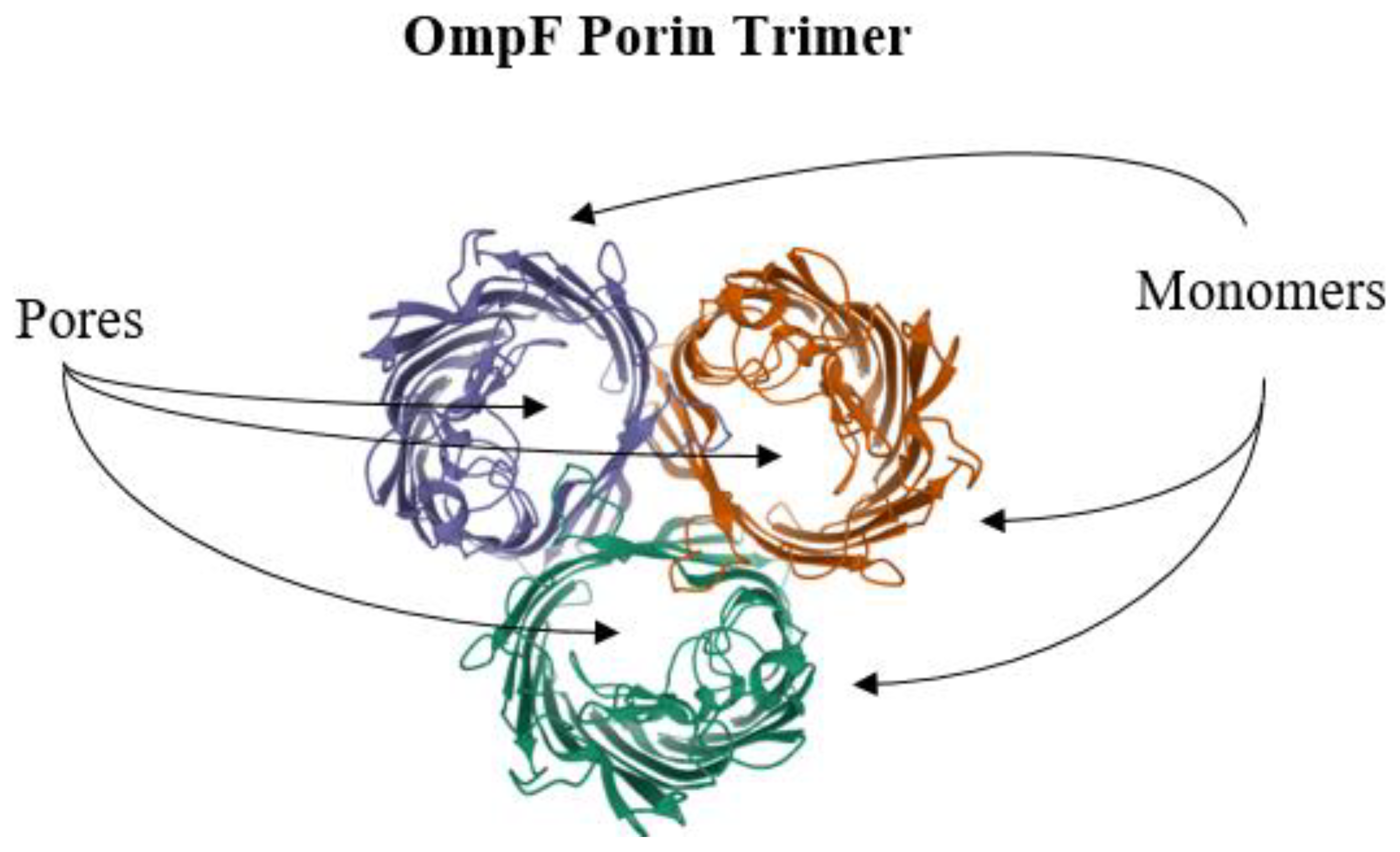 Antibiotics 10 00593 g008