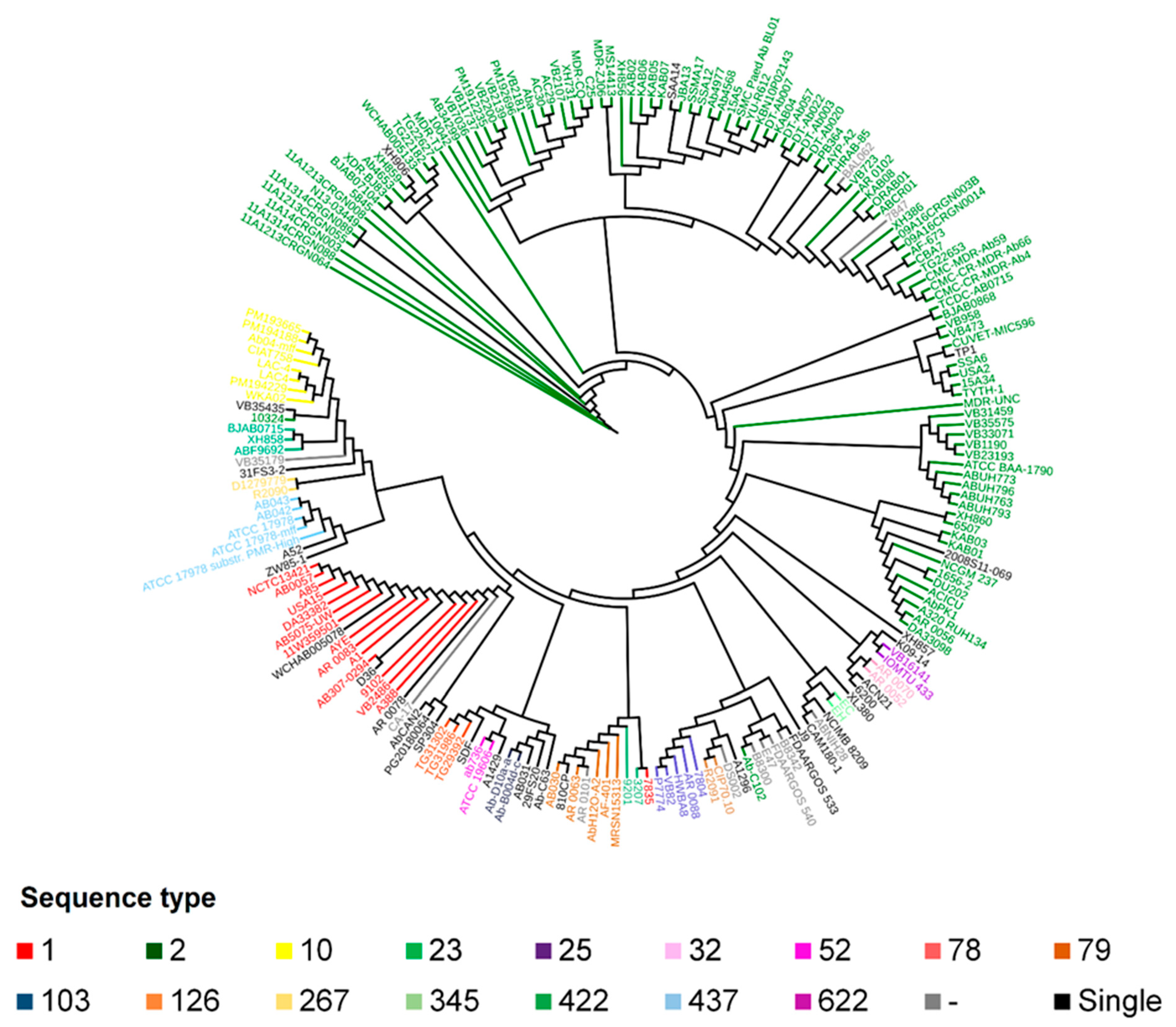 Antibiotics 10 00596 g002