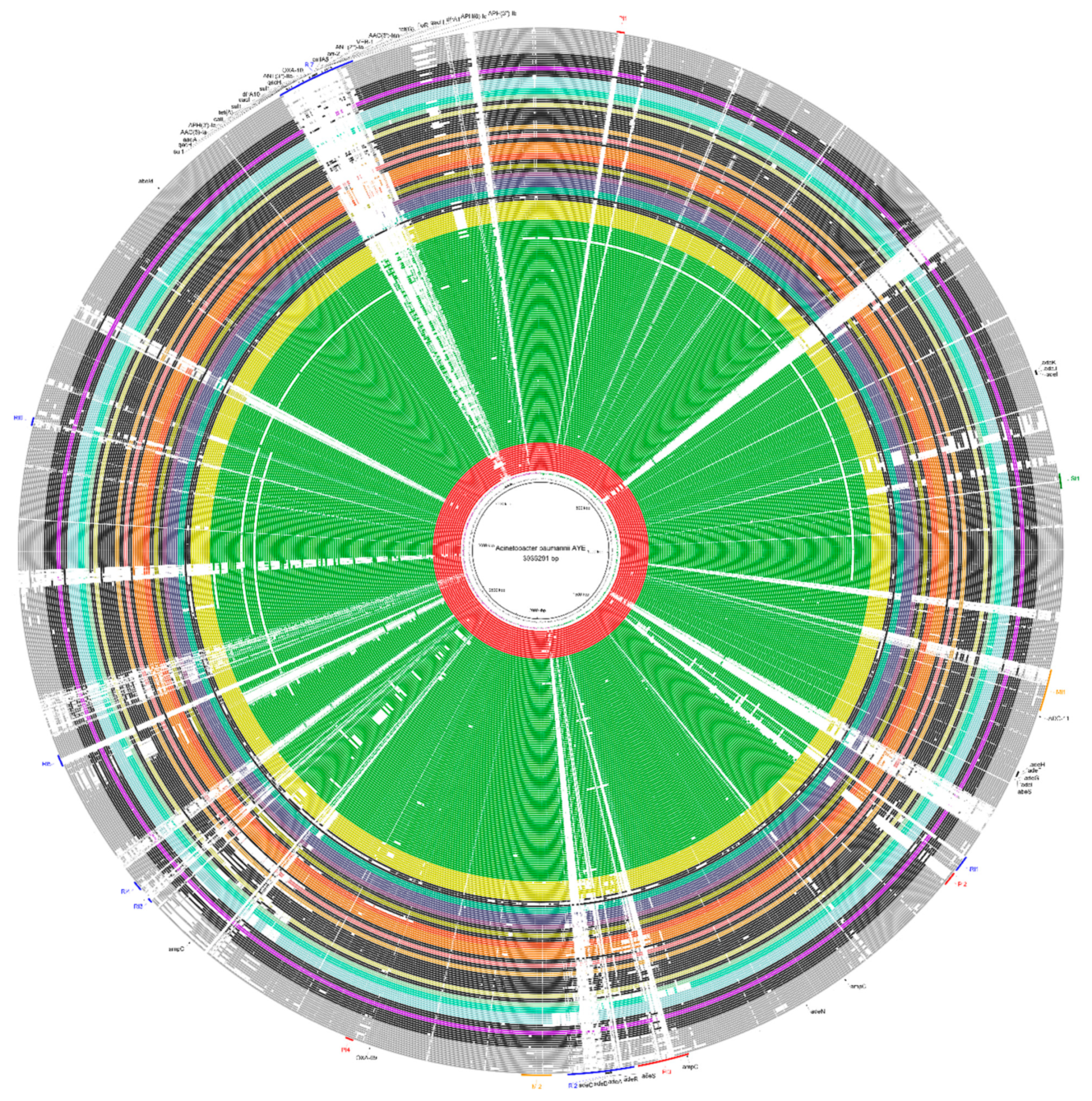 Antibiotics 10 00596 g003