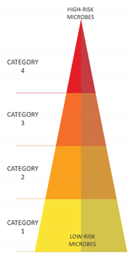 Antibiotics 10 00613 i001