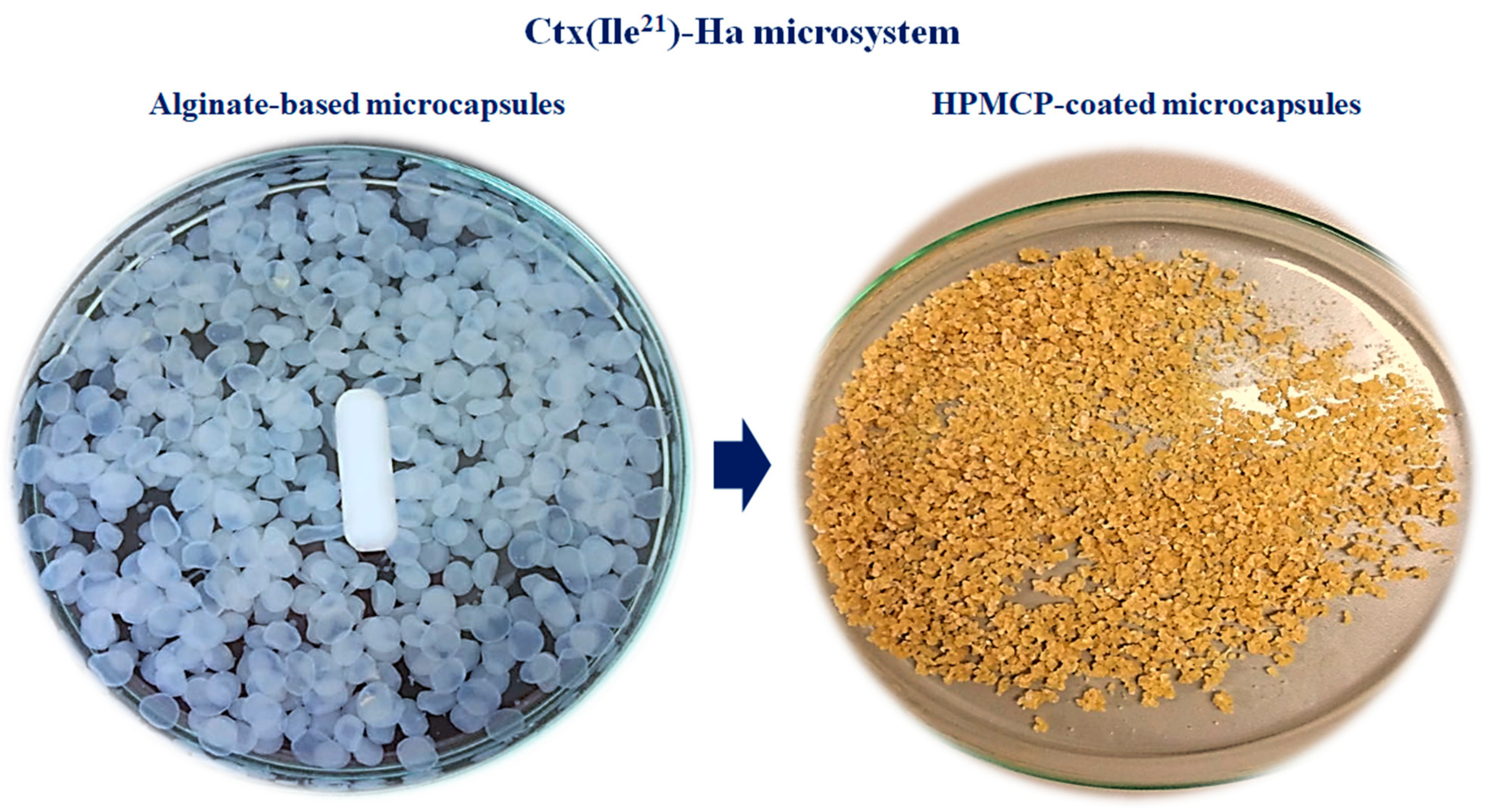 Antibiotics 10 00616 g002