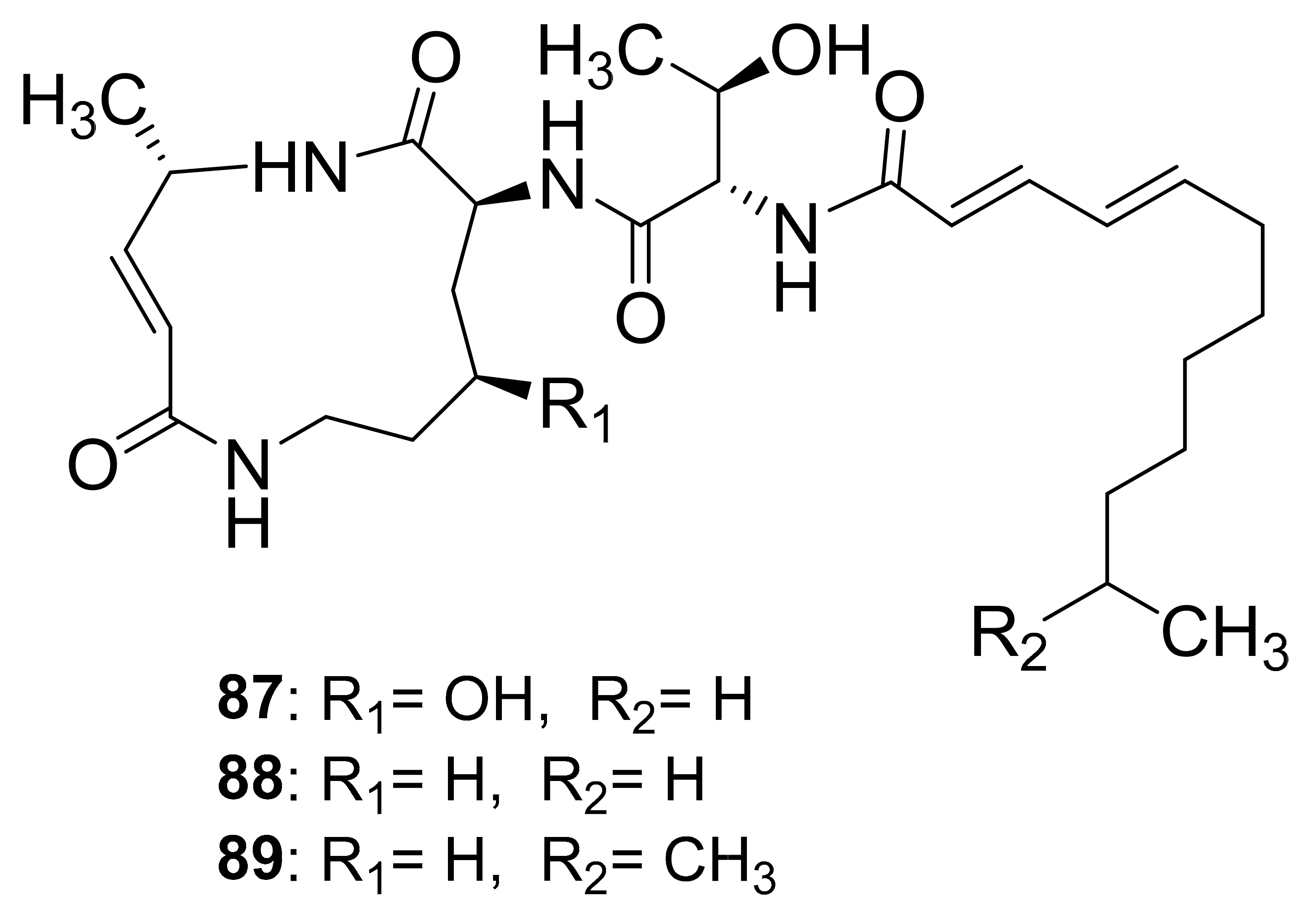 Antibiotics 10 00621 g011