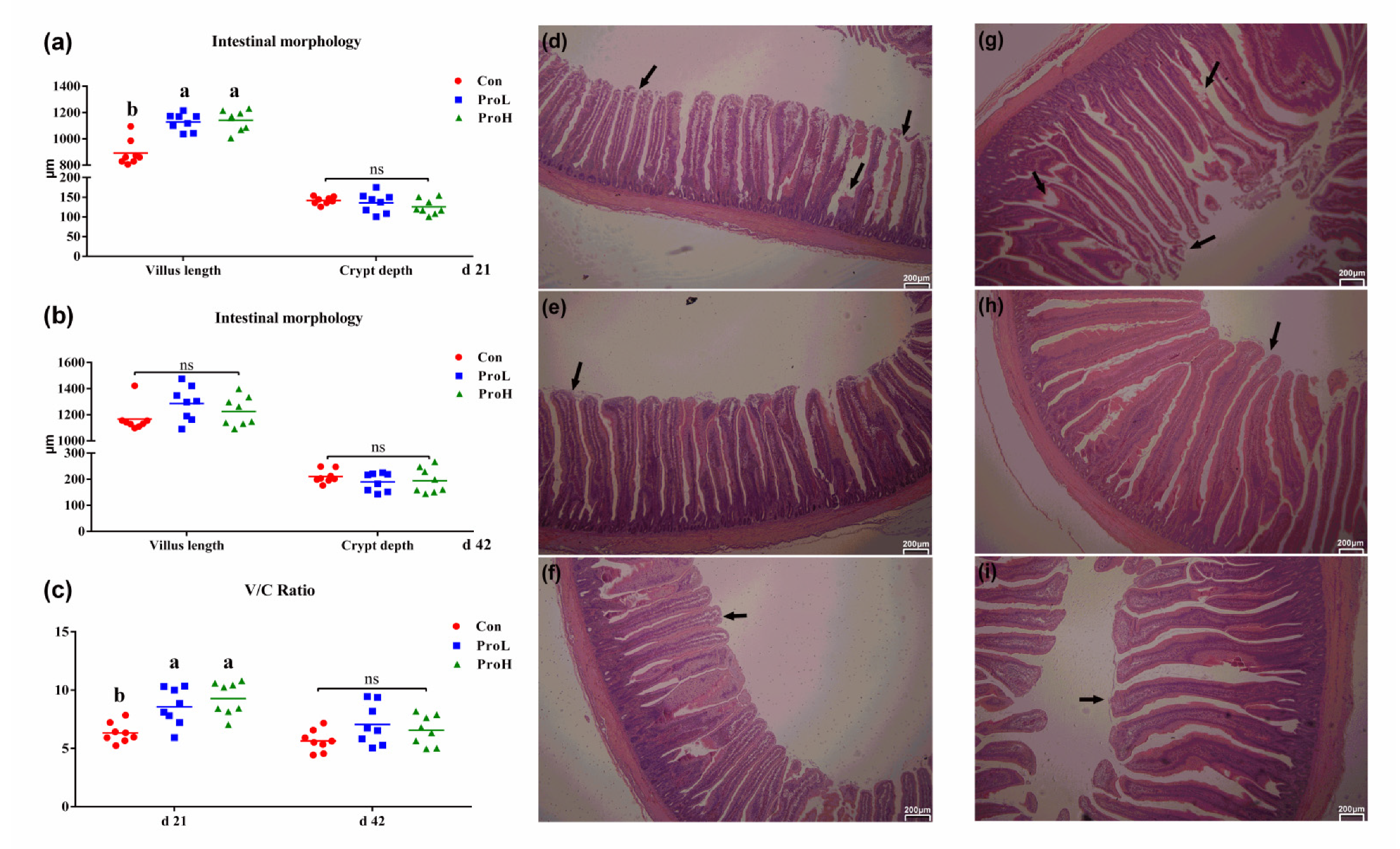 Antibiotics 10 00624 g002 Antibiotics 10 00624 g002