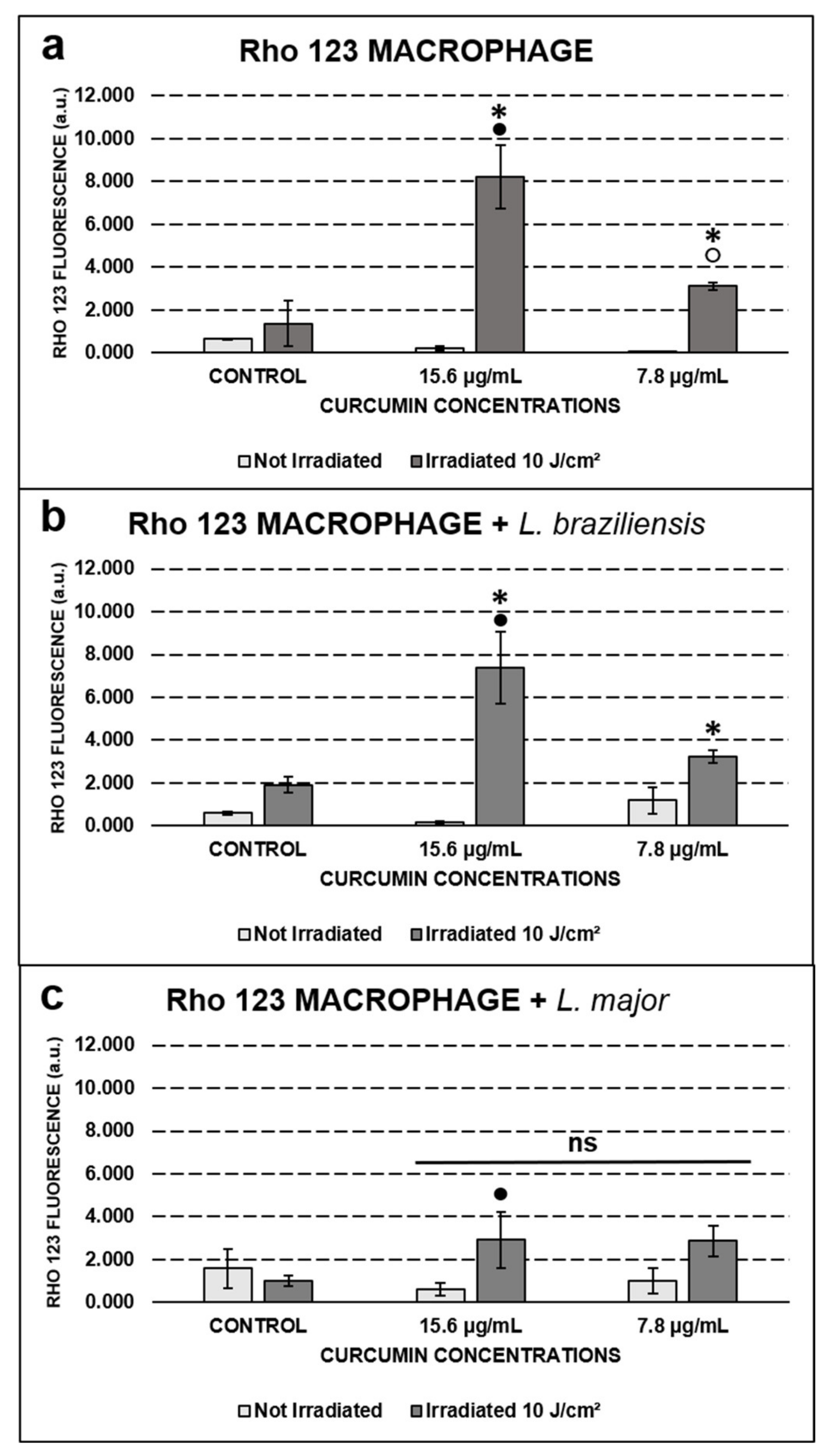 Antibiotics 10 00634 g006