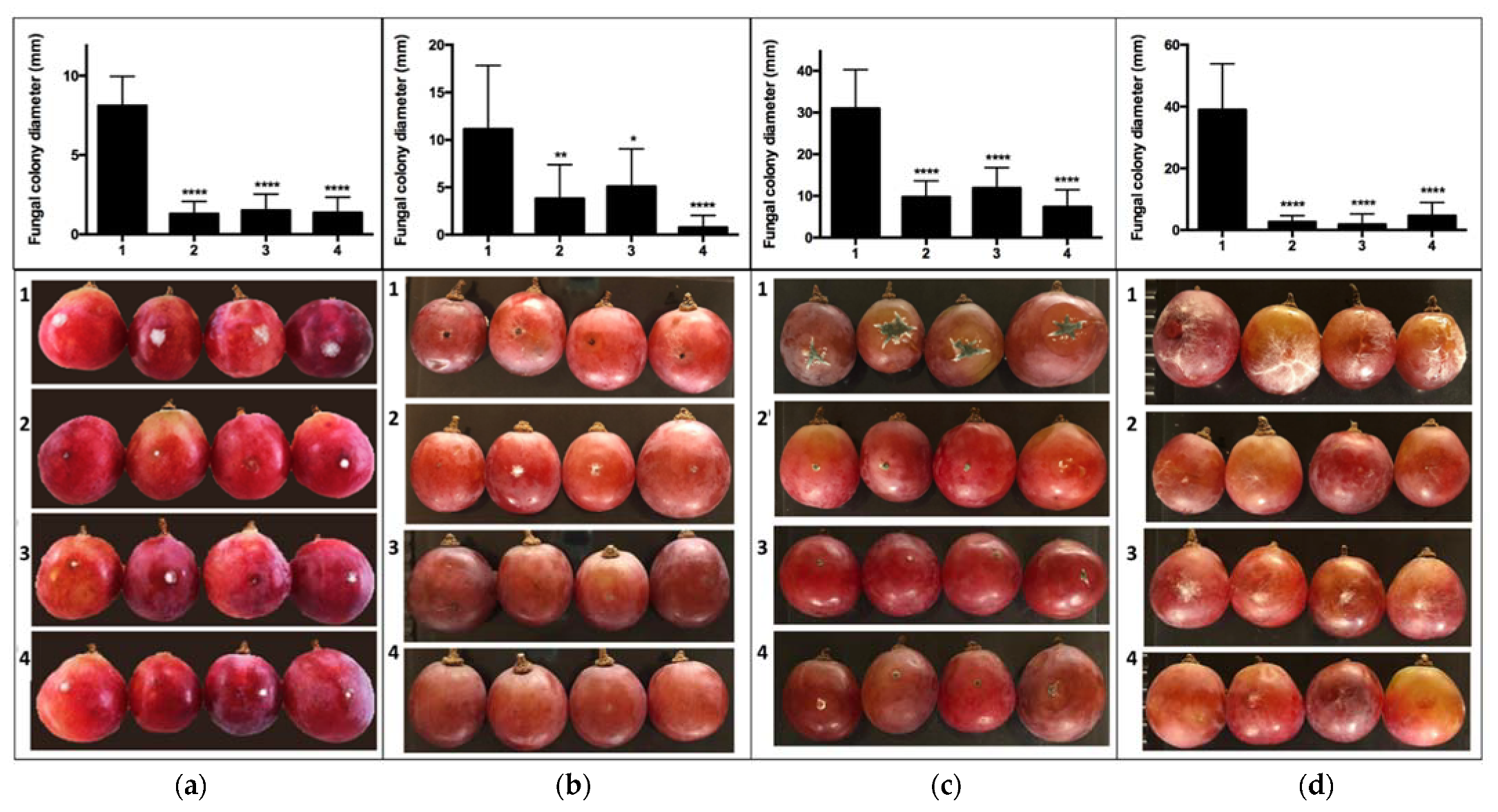 Antibiotics 10 00663 g002a Antibiotics 10 00663 g002a