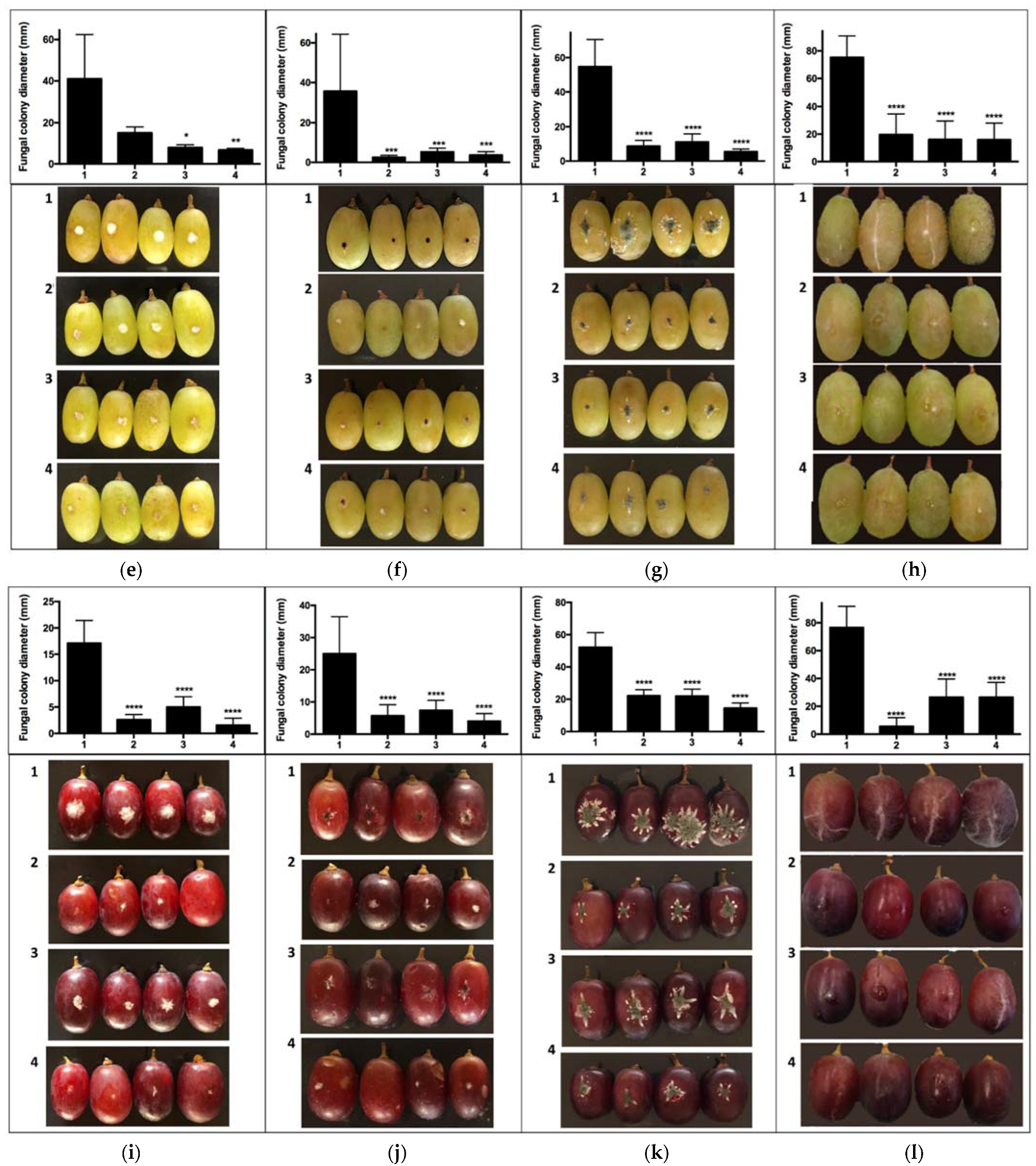 Antibiotics 10 00663 g002b Antibiotics 10 00663 g002b