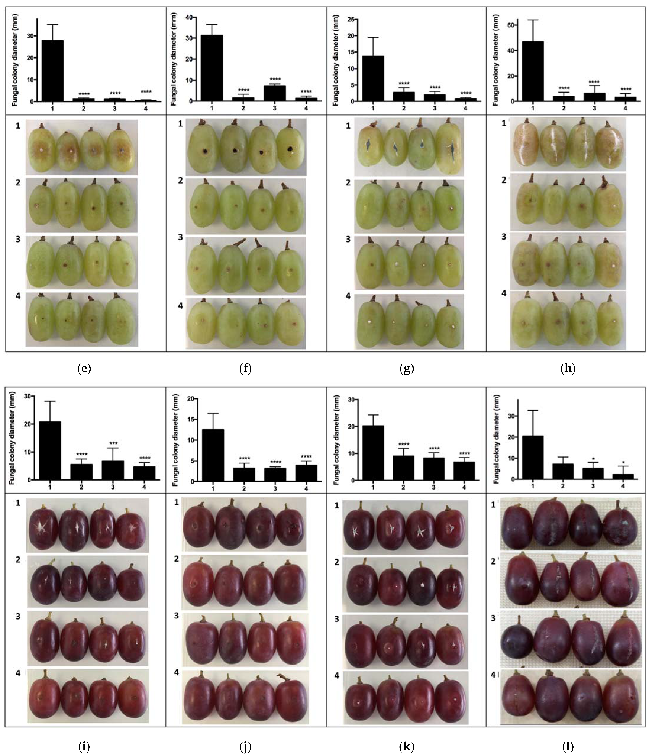 Antibiotics 10 00663 g003b Antibiotics 10 00663 g003b