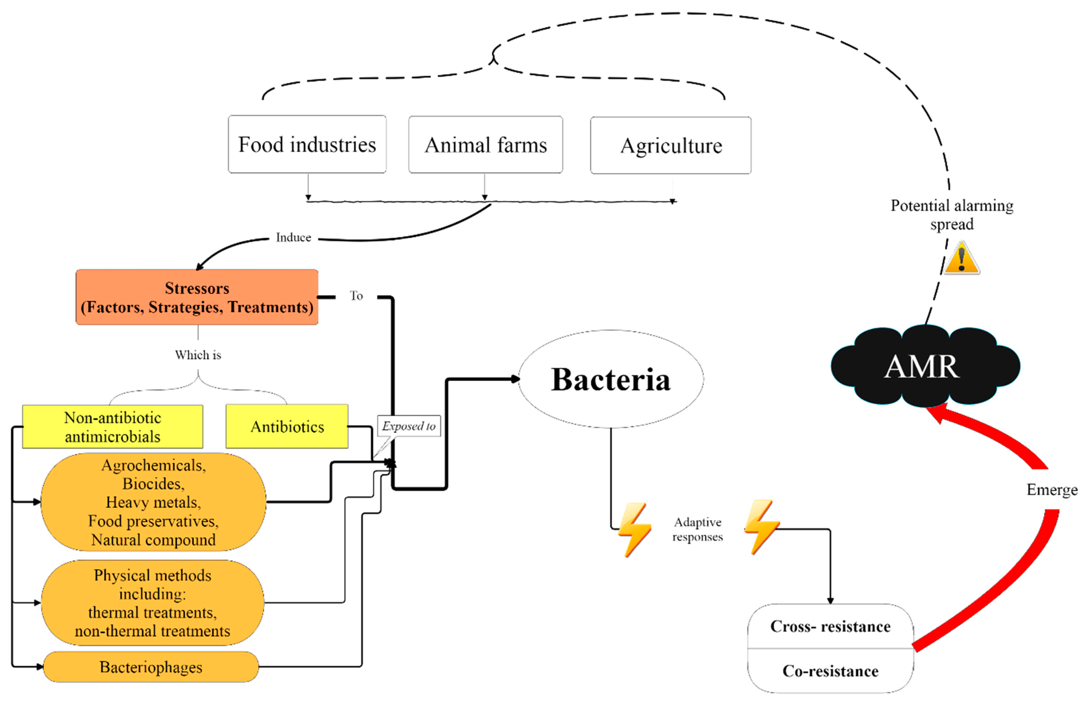 Antibiotics 10 00671 g001