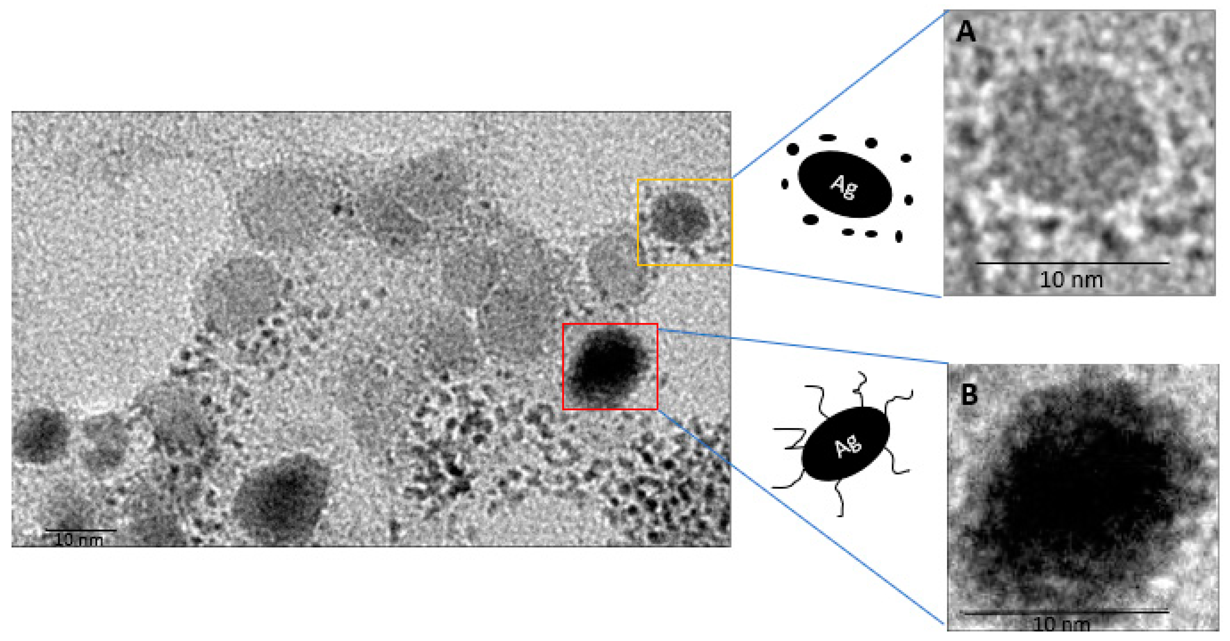 Antibiotics 10 00678 g003