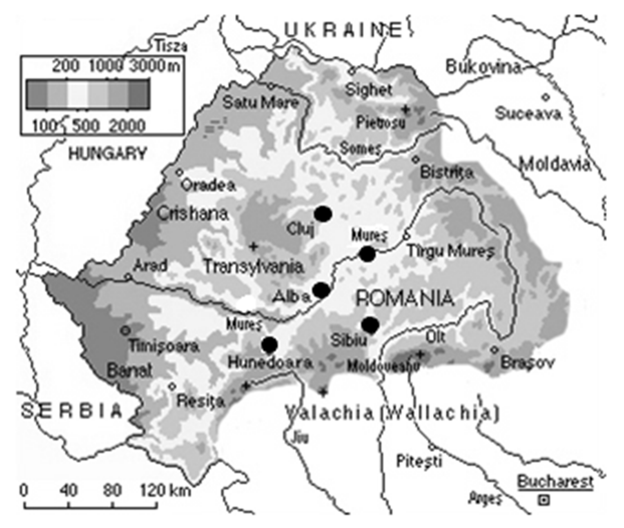 Antibiotics 10 00689 g001