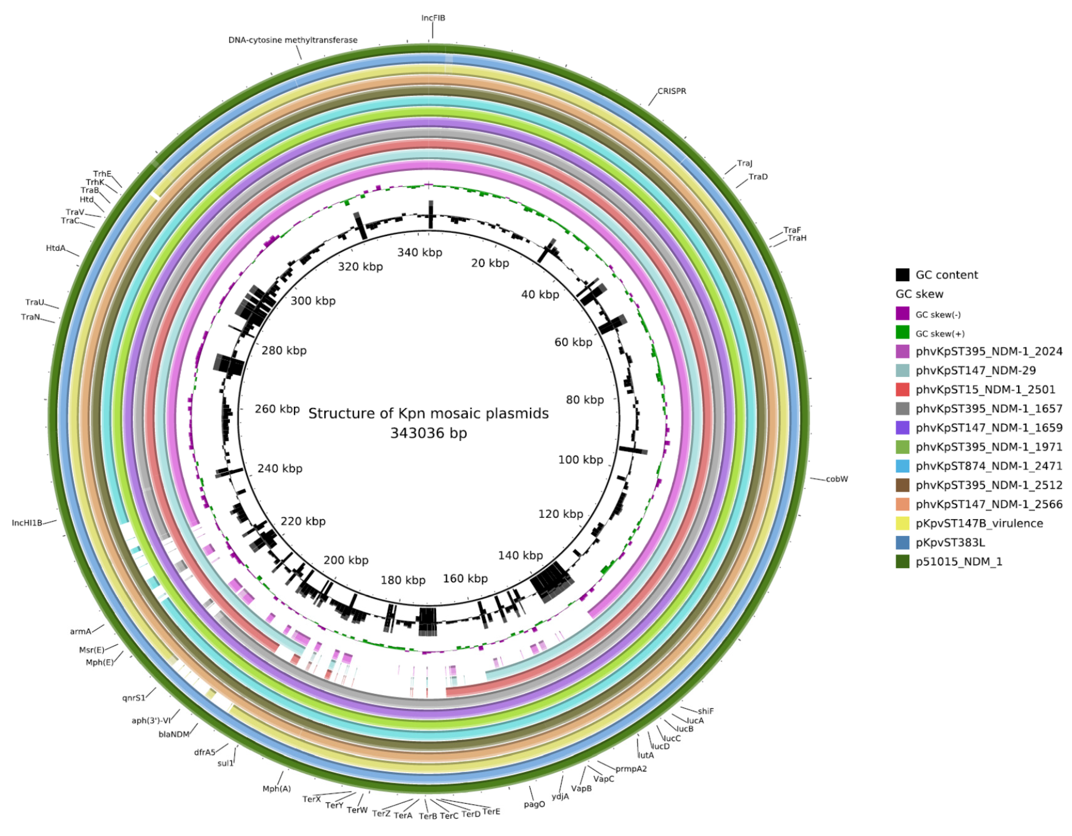 Antibiotics 10 00691 g001 Antibiotics 10 00691 g001