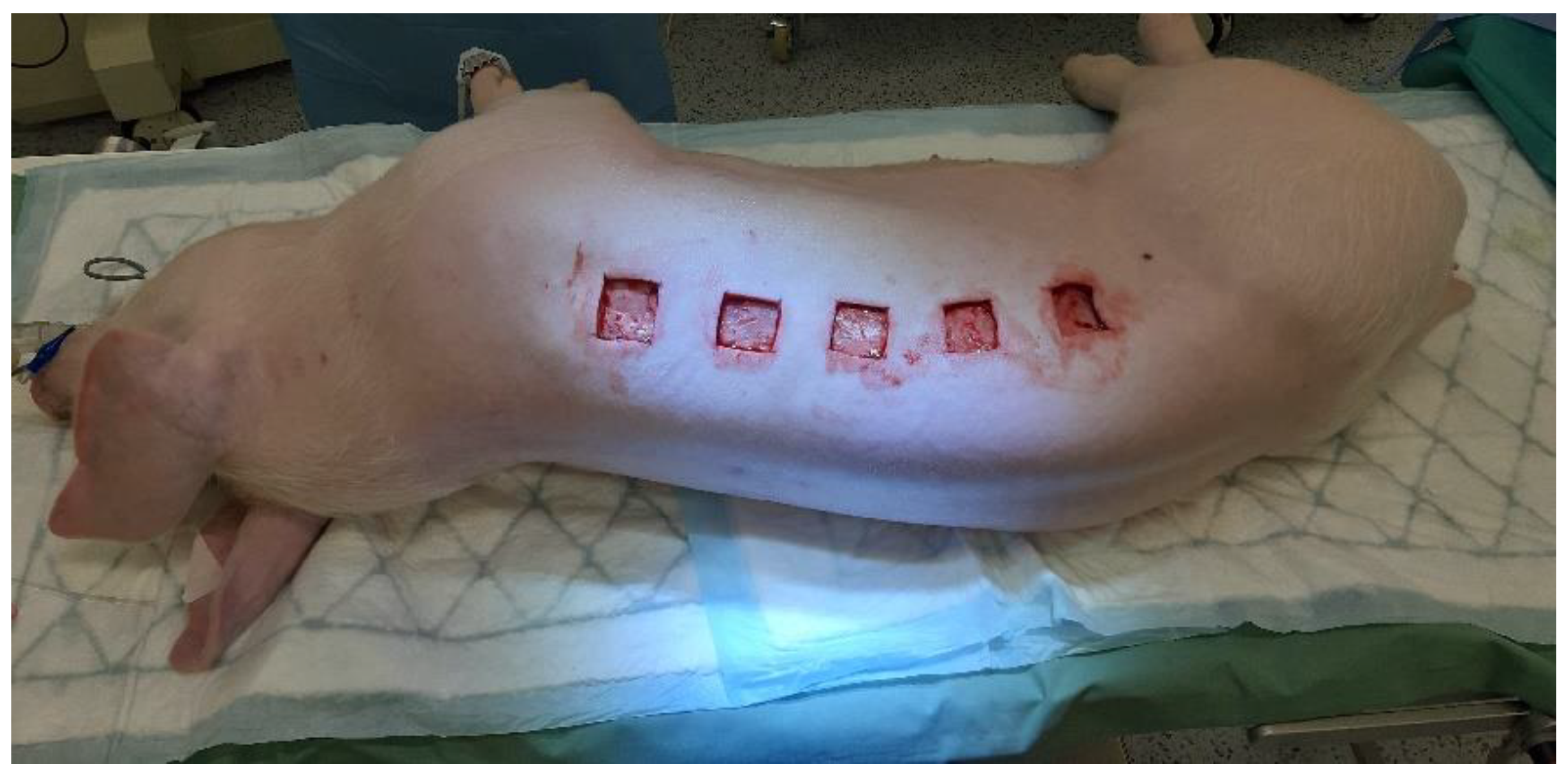 Antibiotics 10 00708 g007