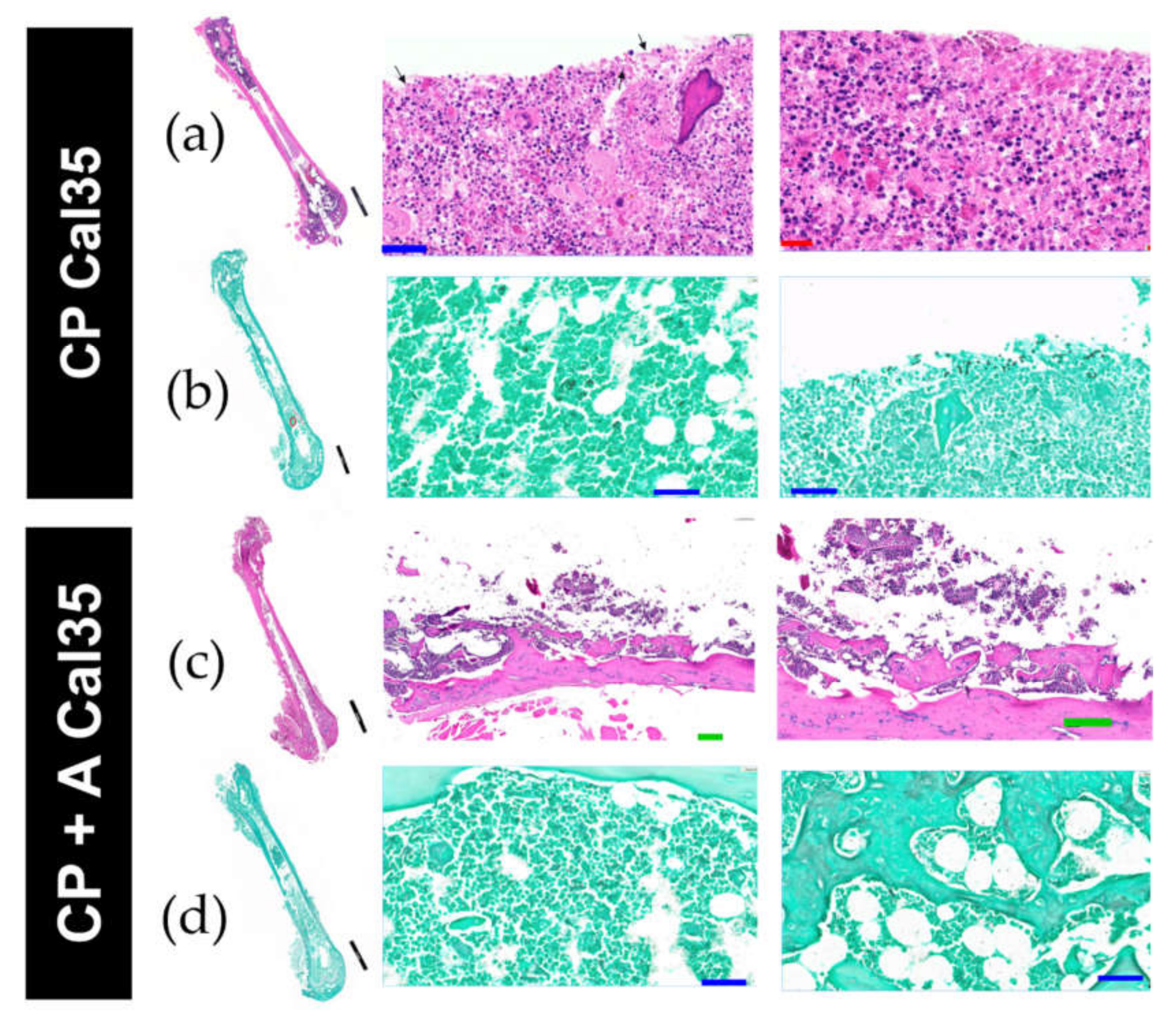 Antibiotics 10 00711 g006 Antibiotics 10 00711 g006
