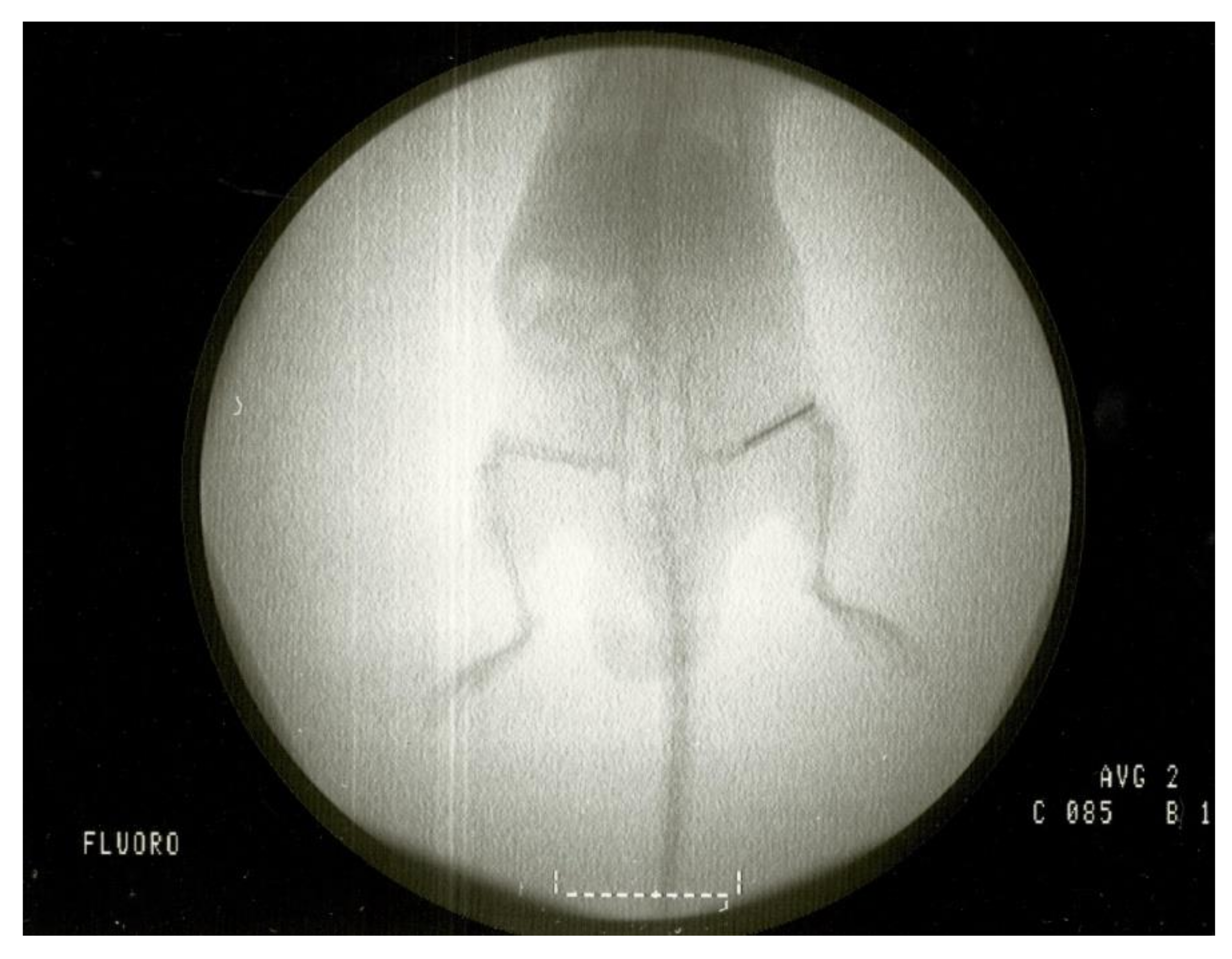 Antibiotics 10 00711 g010 Antibiotics 10 00711 g010