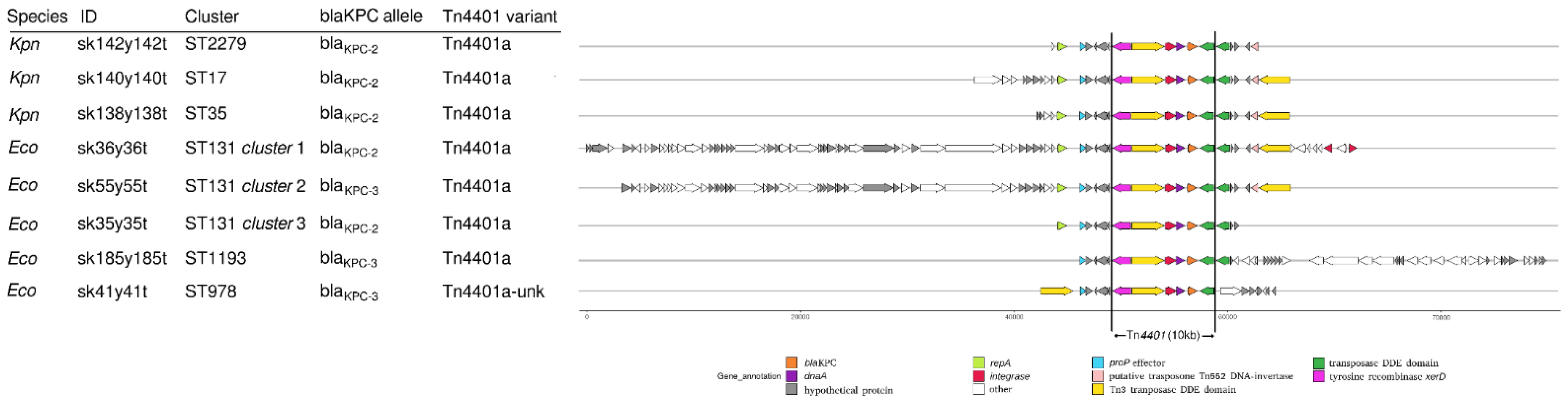 Antibiotics 10 00718 g004 Antibiotics 10 00718 g004