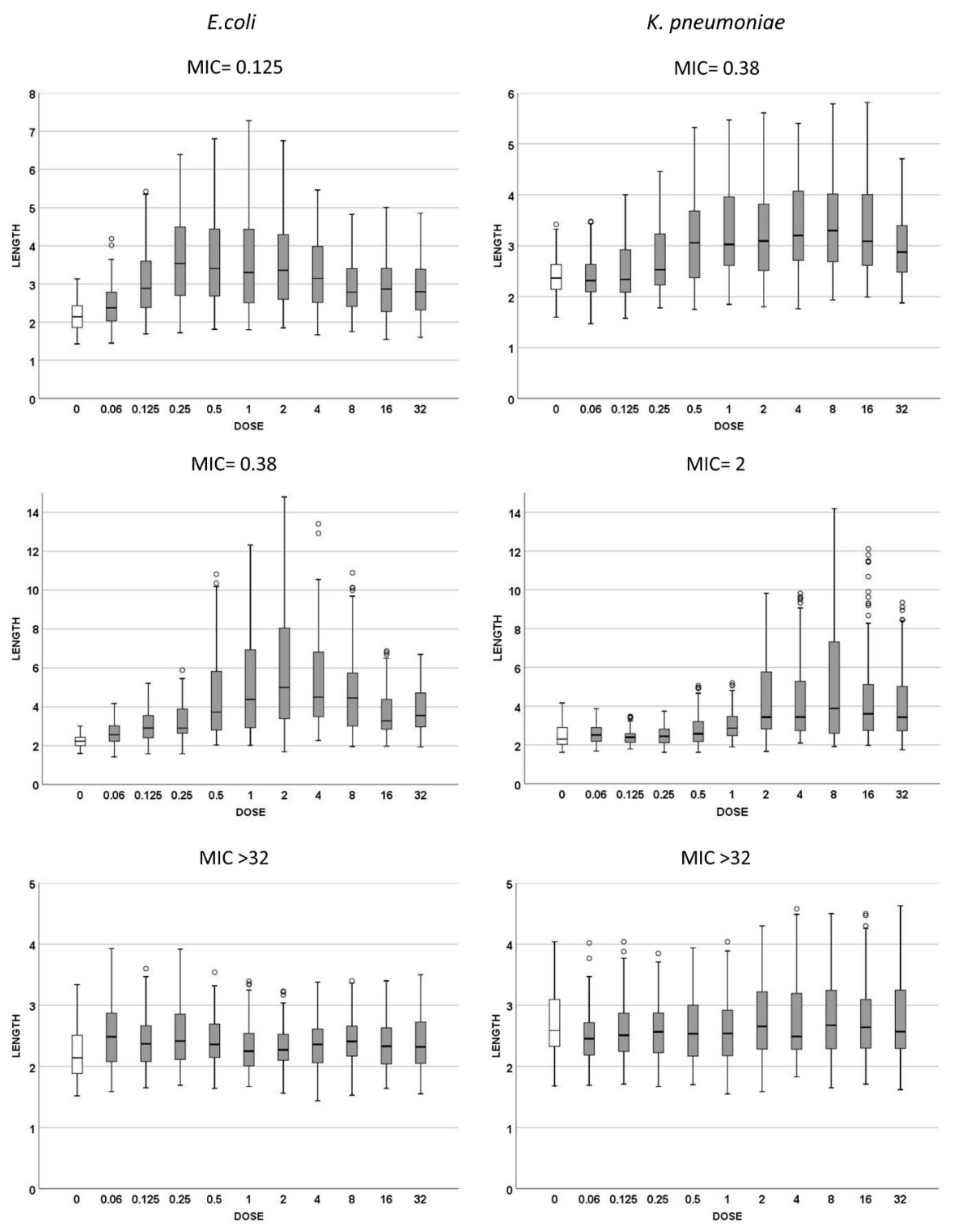 Antibiotics 10 00720 g002