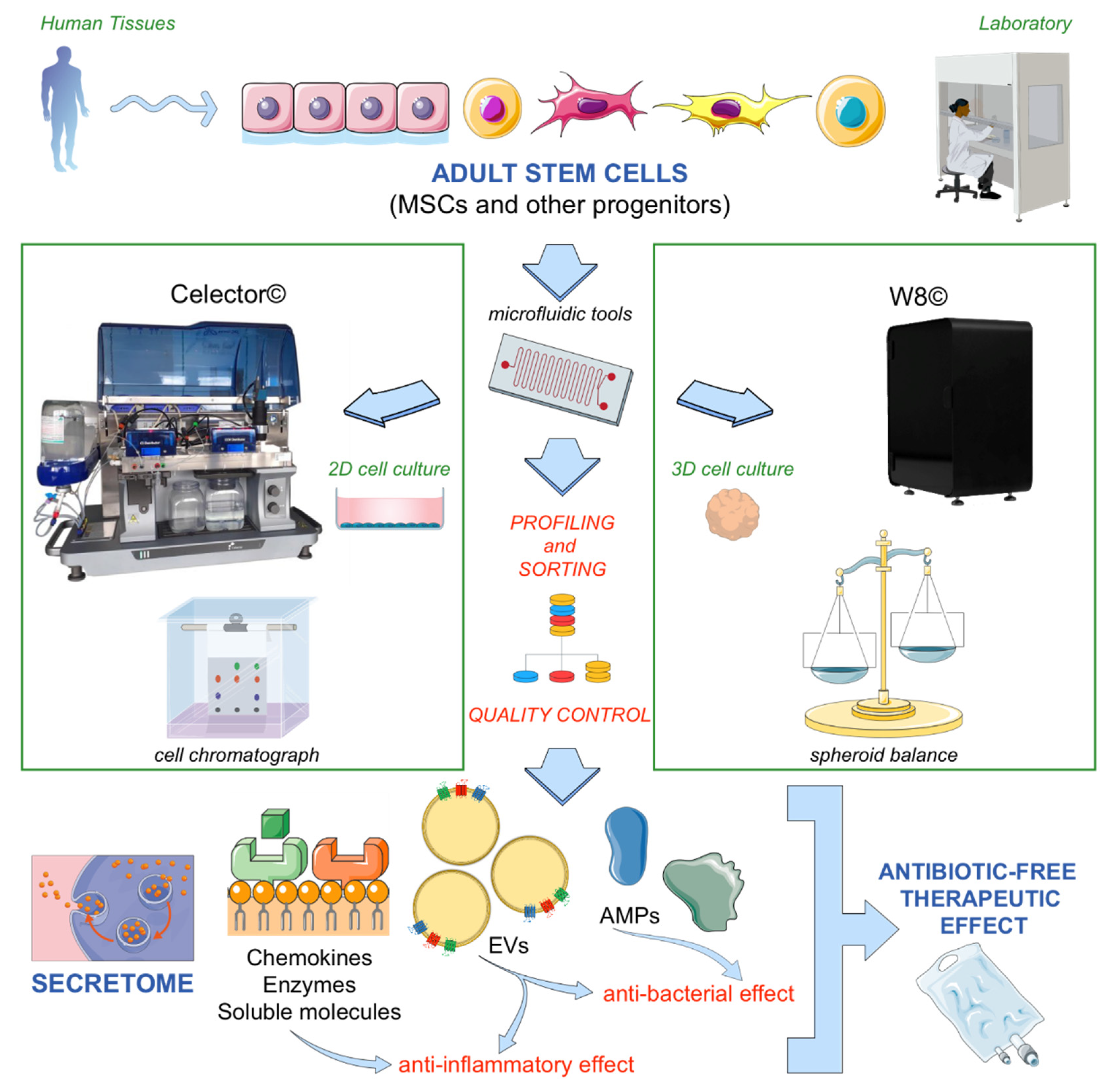 Antibiotics 10 00750 g001