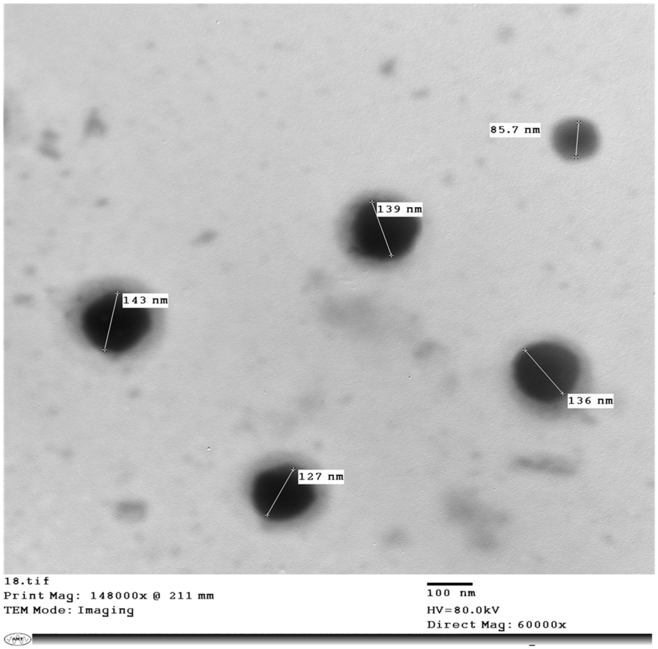 Antibiotics 10 00751 g002