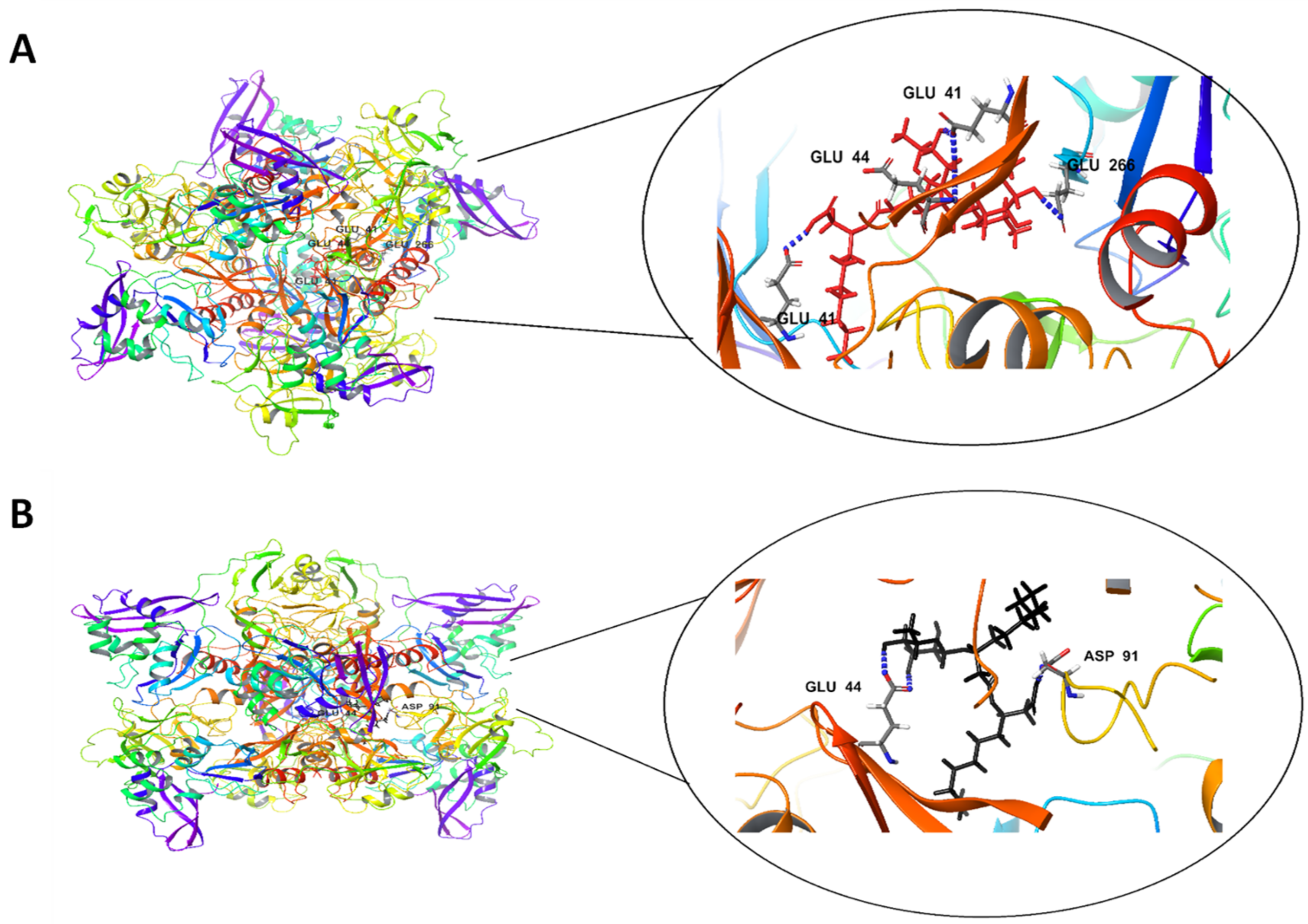 Antibiotics 10 00751 g004