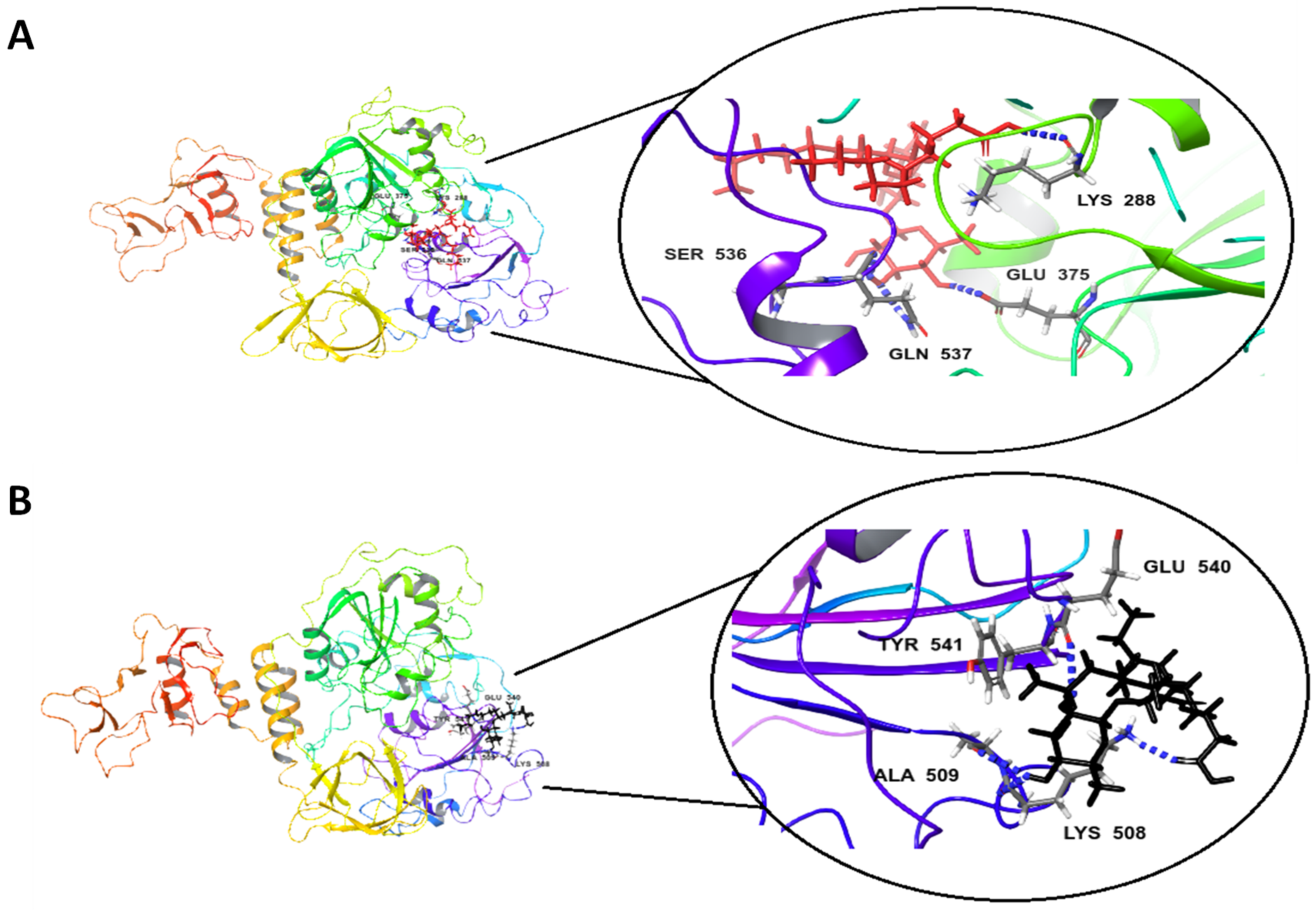 Antibiotics 10 00751 g005