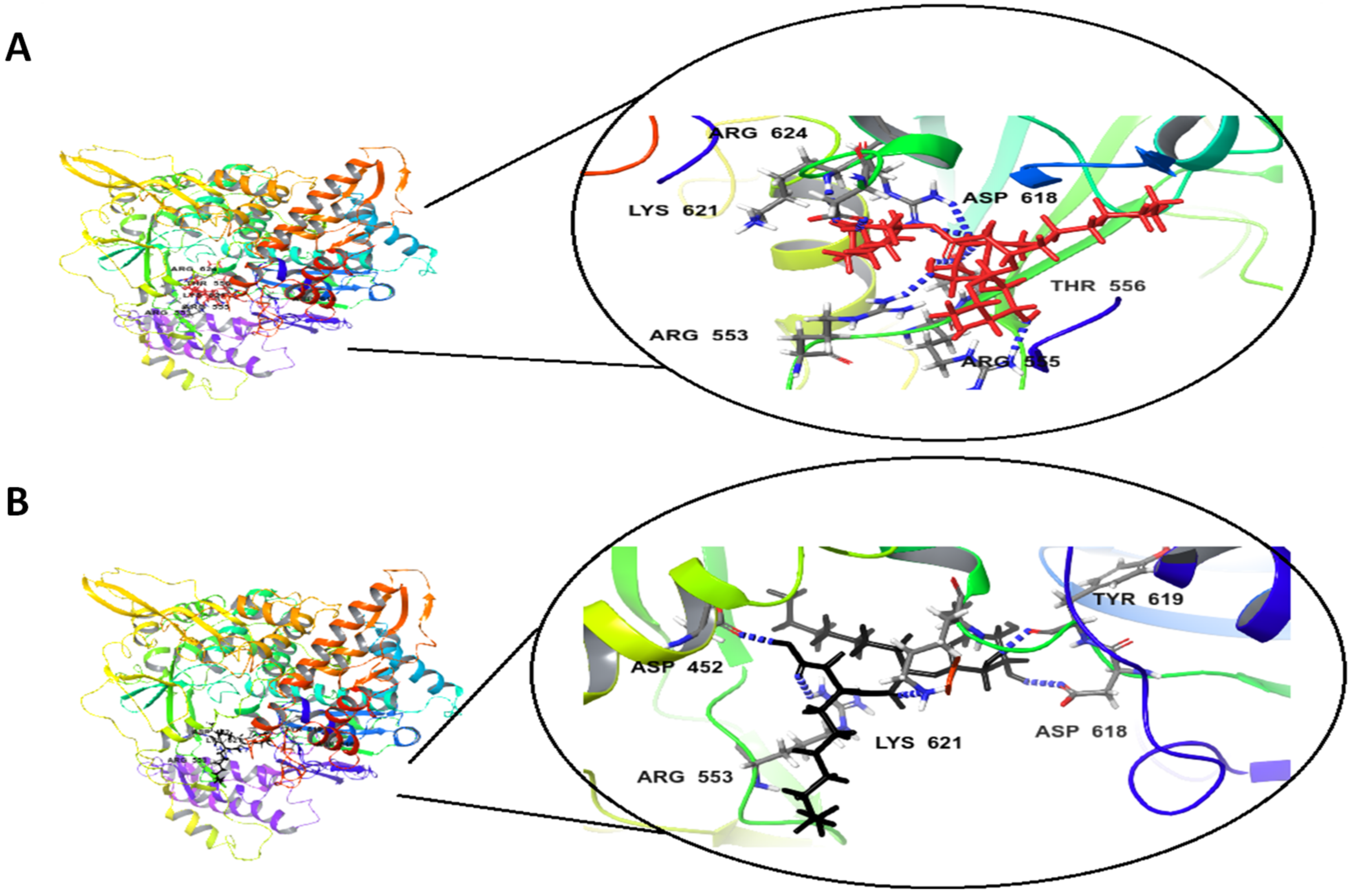 Antibiotics 10 00751 g006