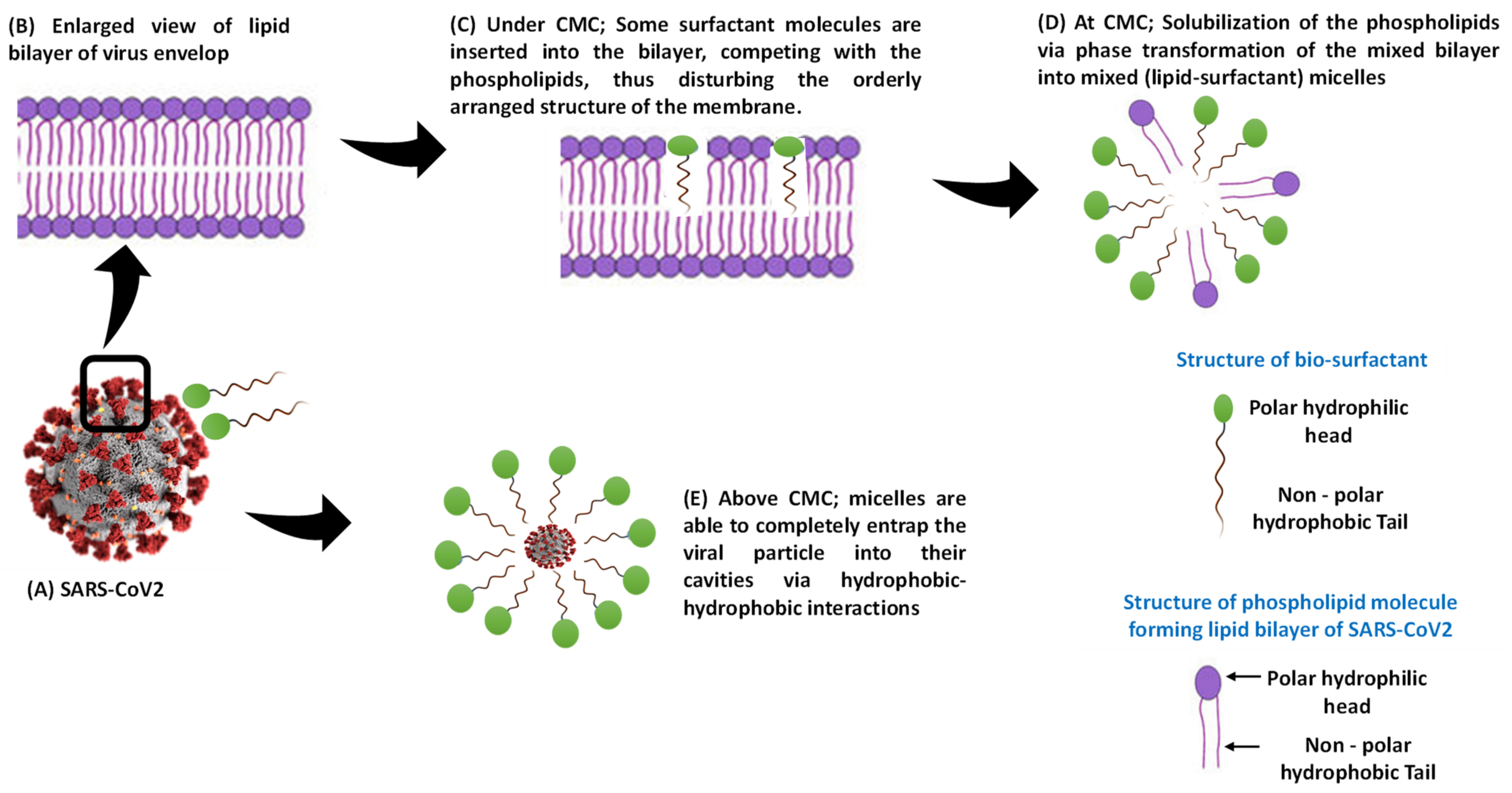 Antibiotics 10 00751 g009