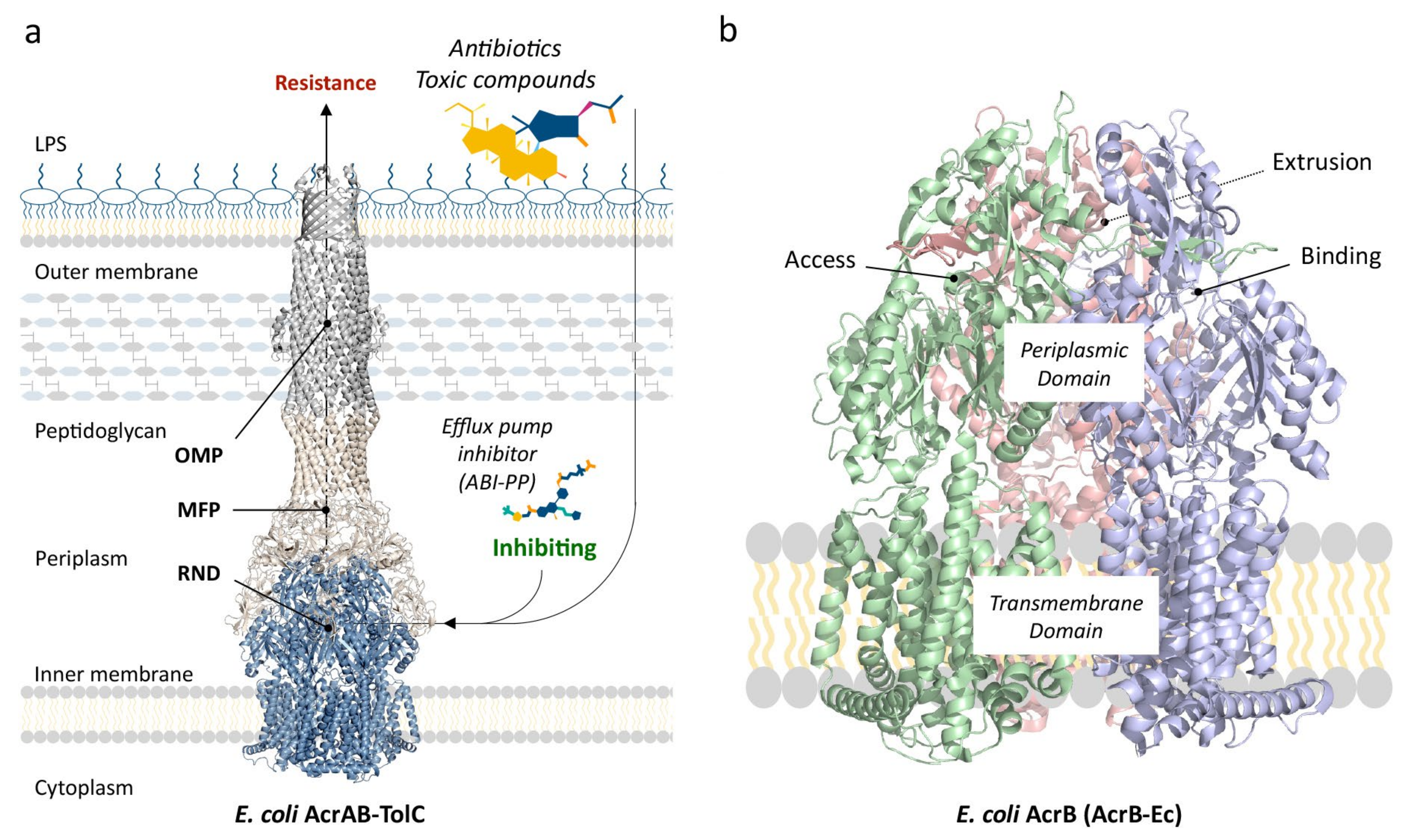 Antibiotics 10 00774 g001