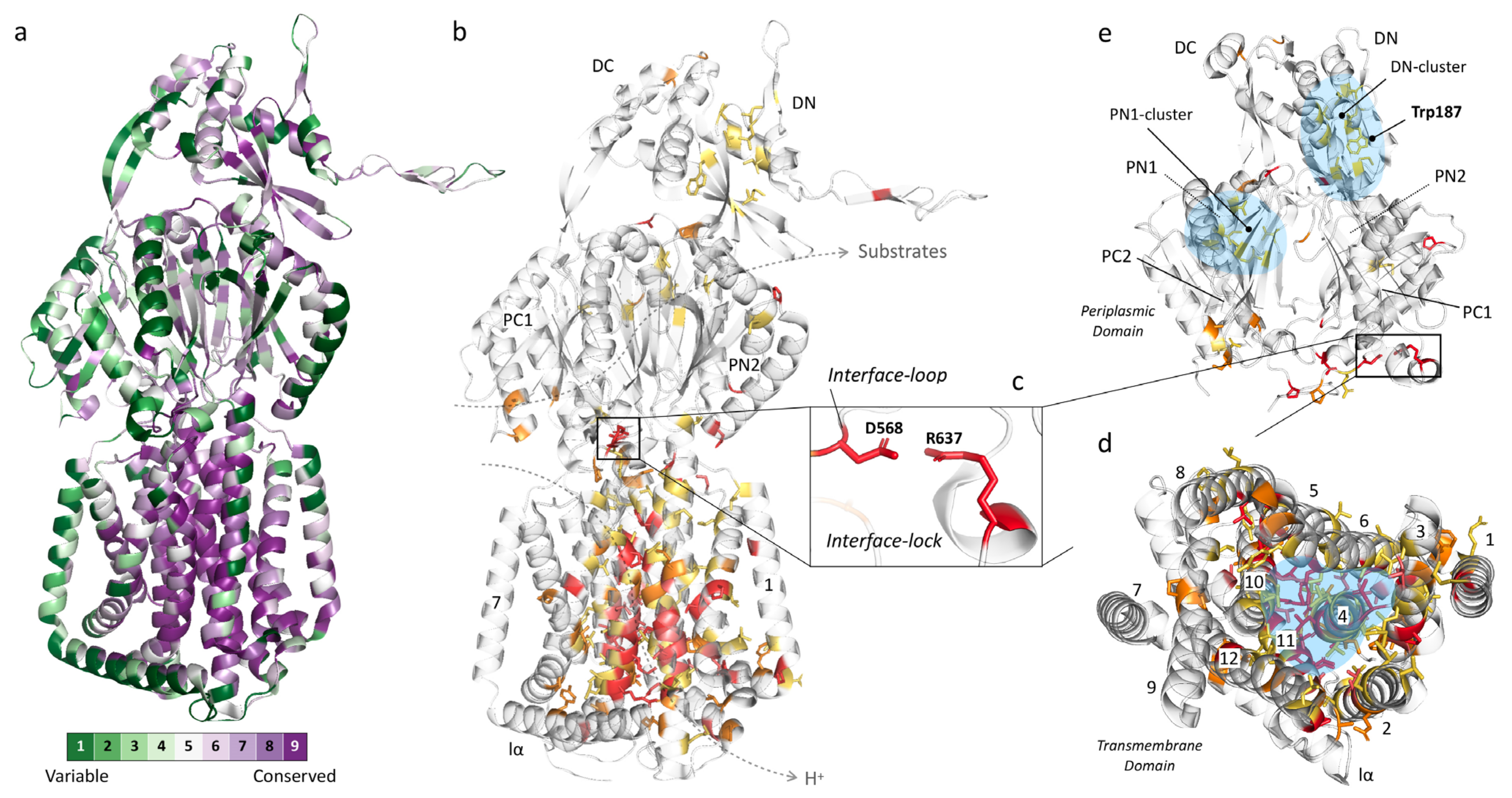 Antibiotics 10 00774 g003