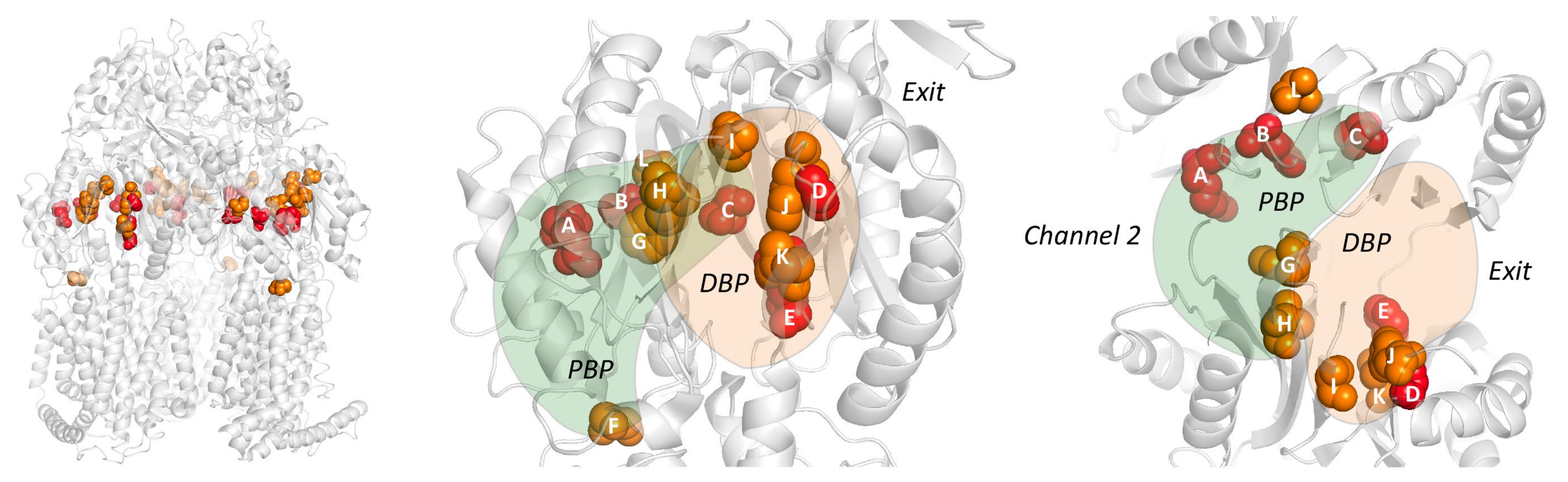 Antibiotics 10 00774 g005