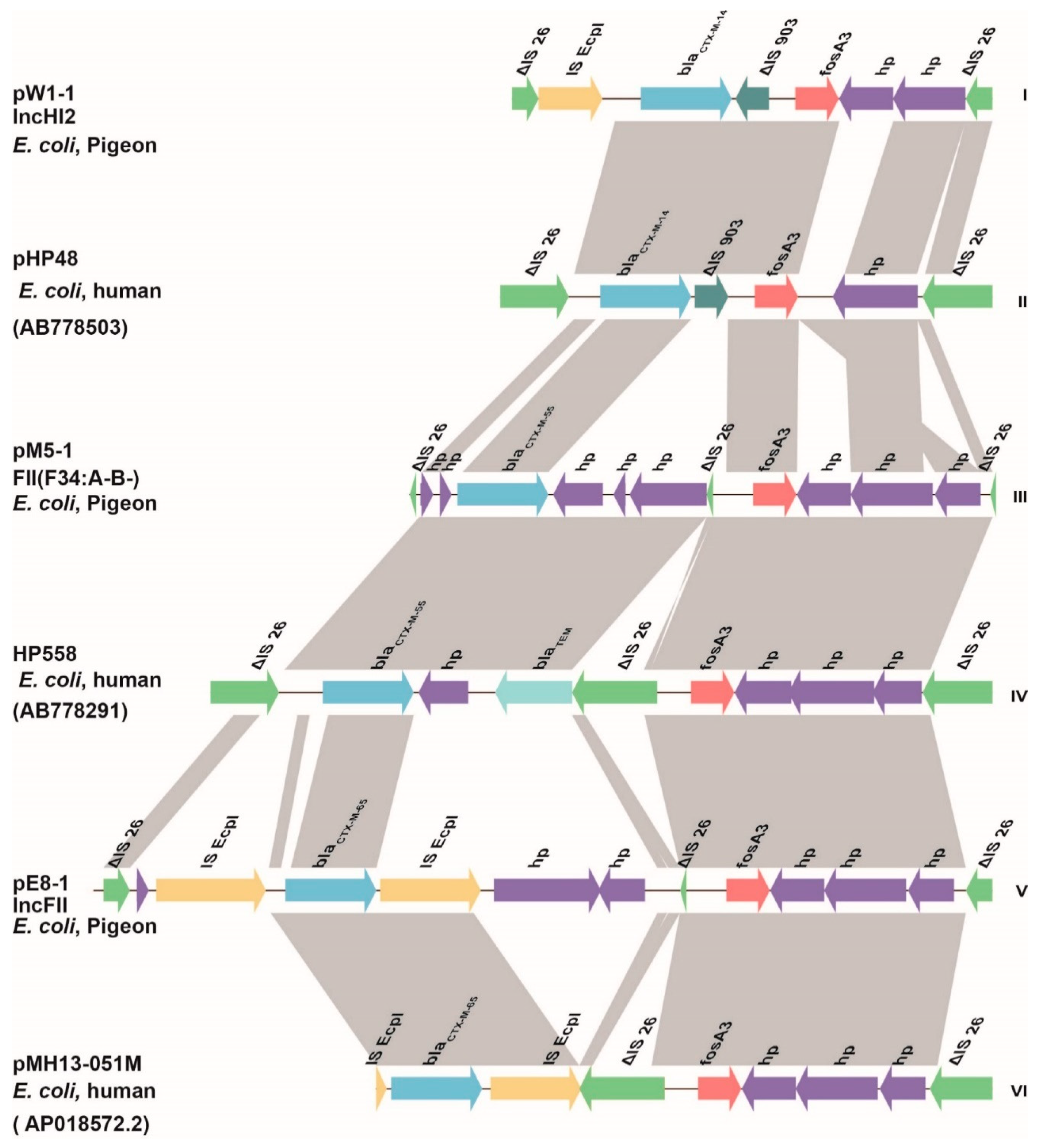 Antibiotics 10 00777 g003