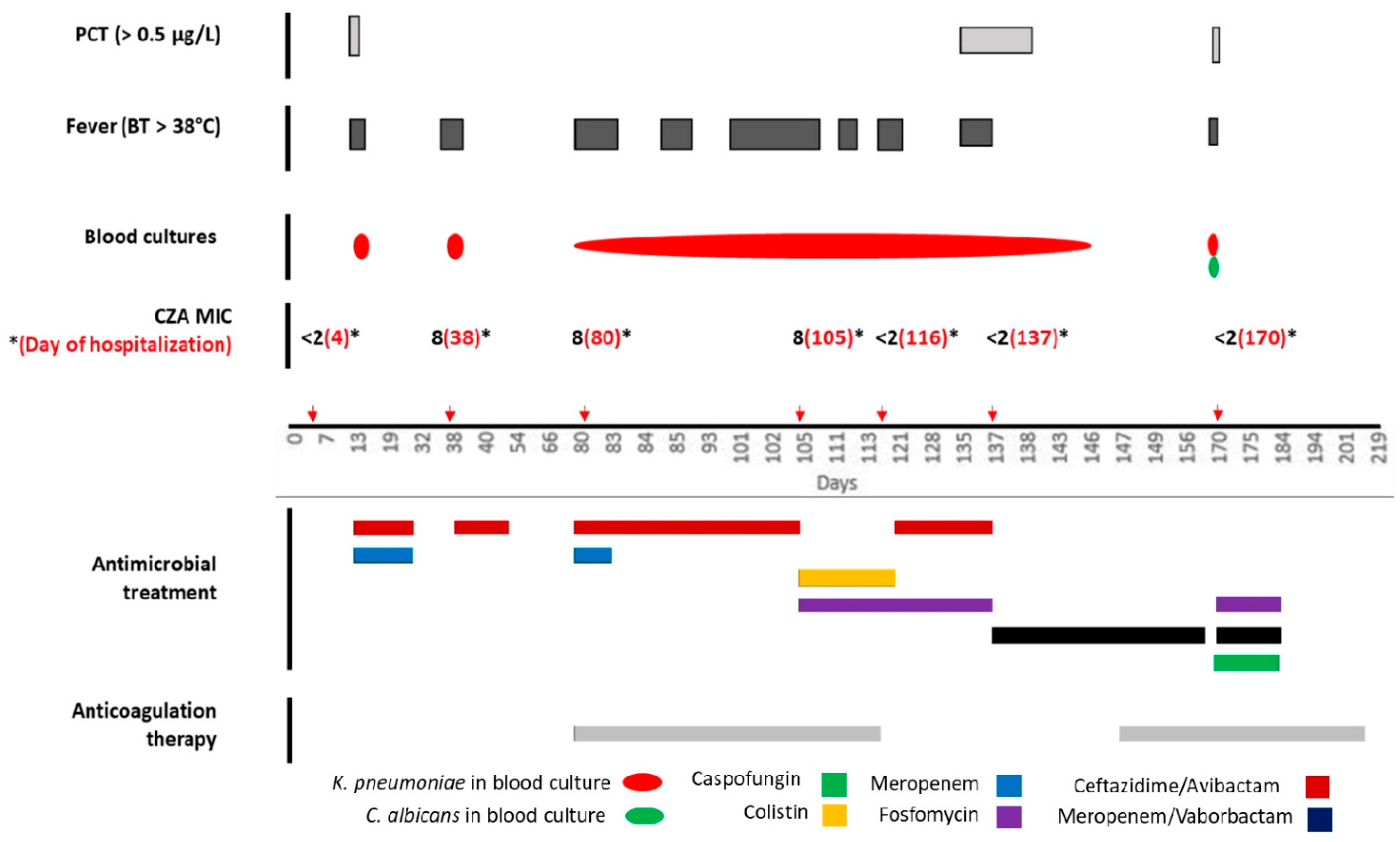 Antibiotics 10 00781 g001